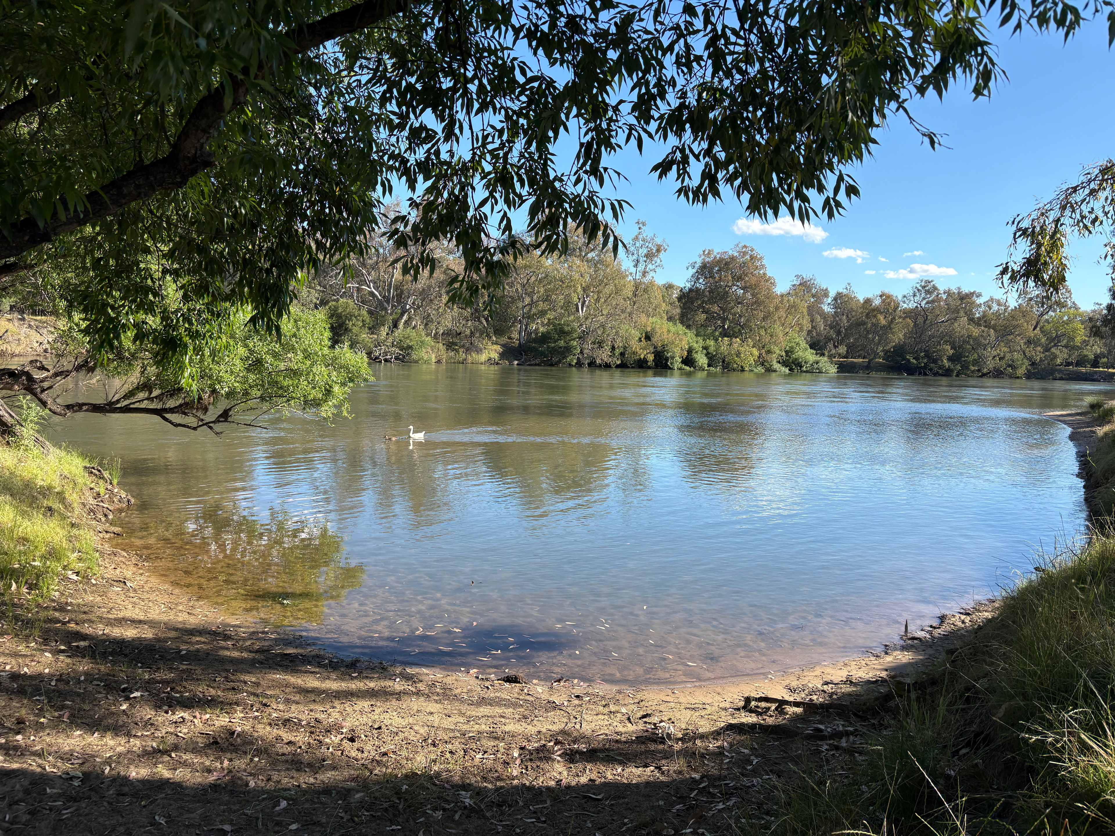 Willowbank on the Murray