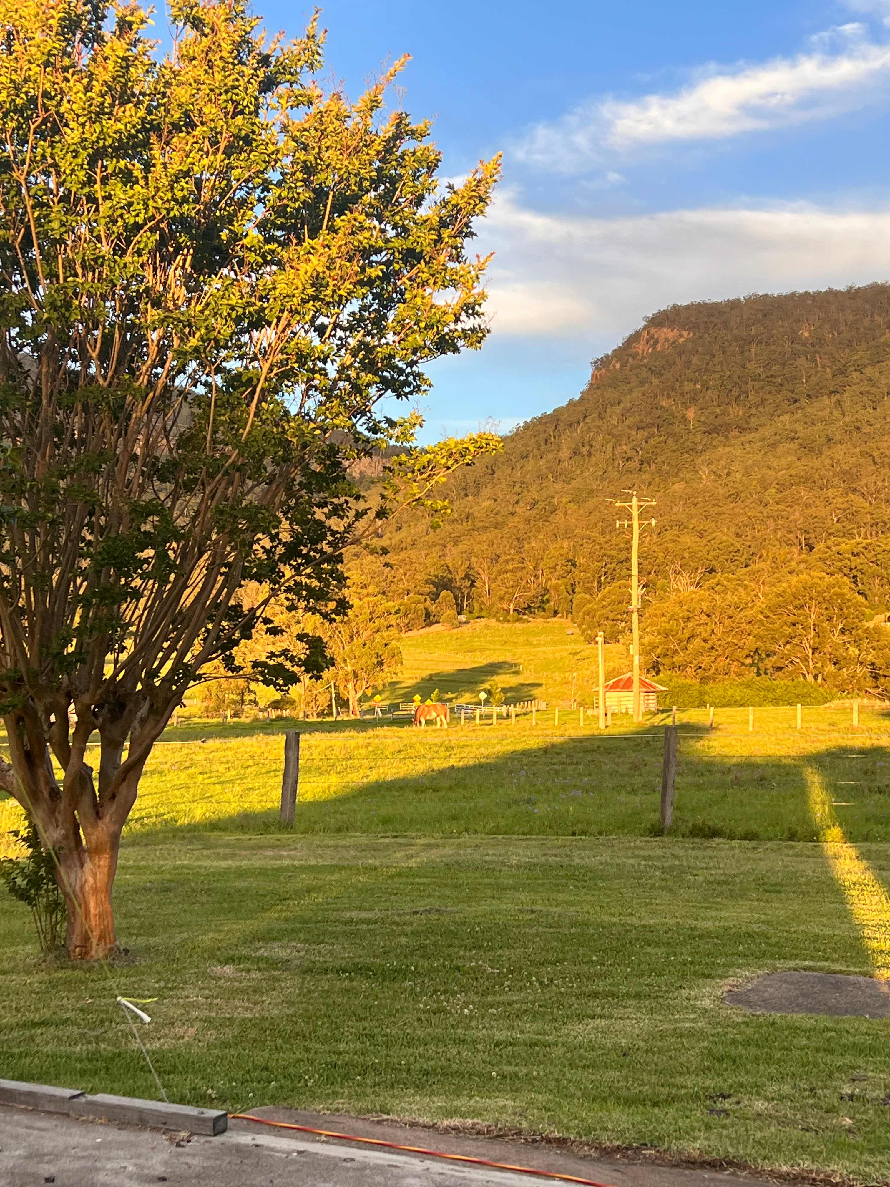 Wynola Country Cousins