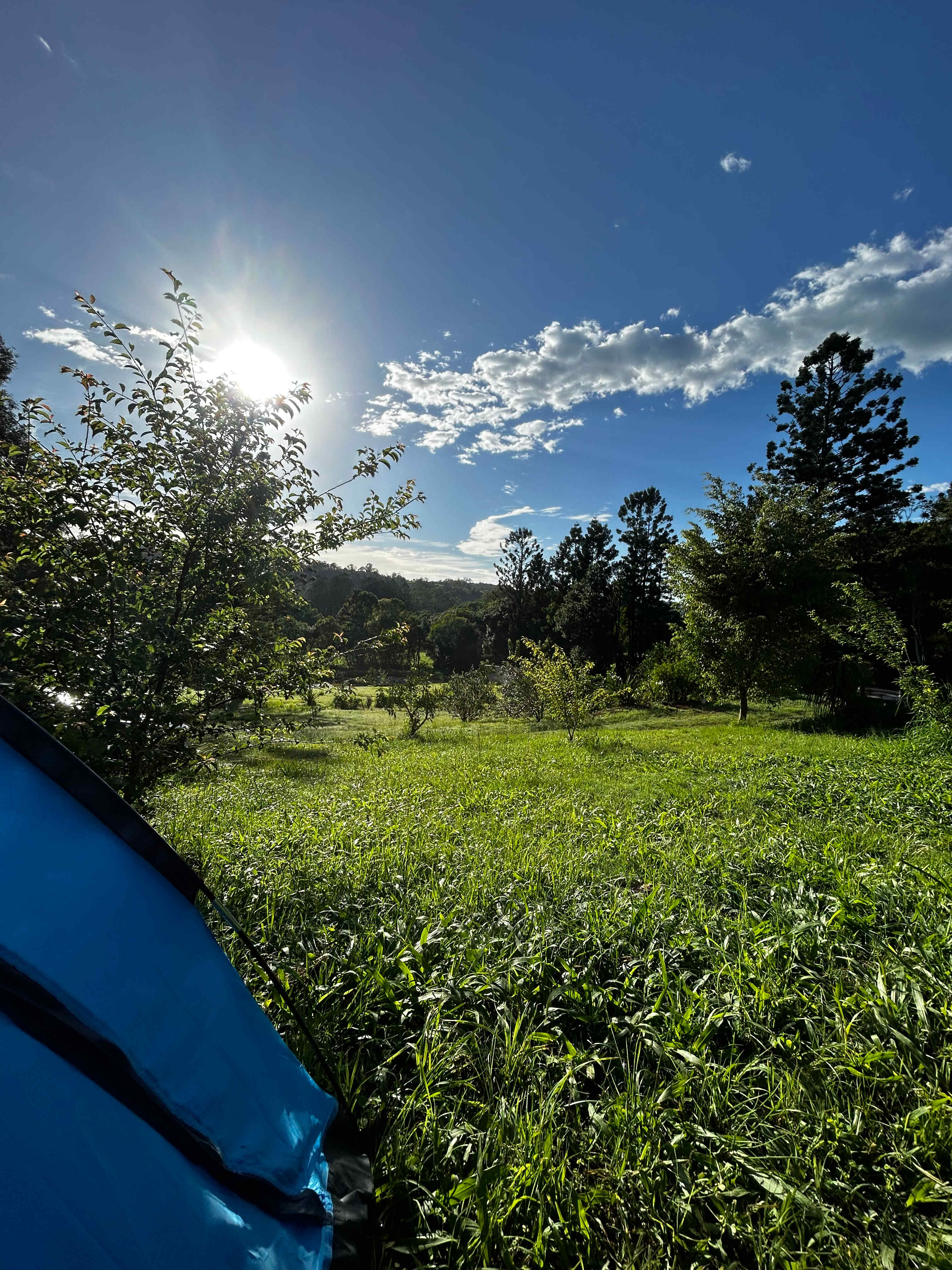 Coffee Camp Organic Farm