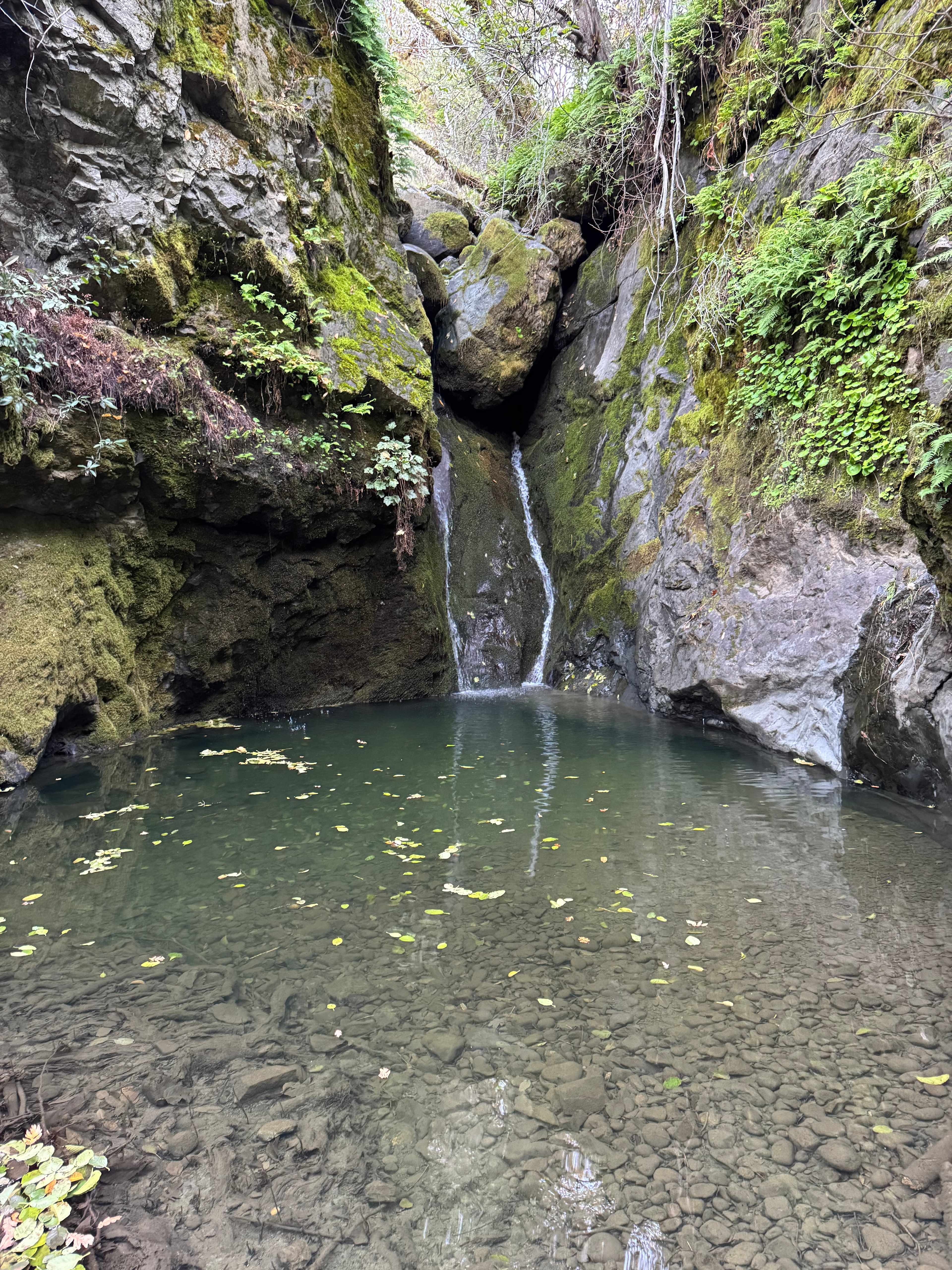 spirit chicken ranch