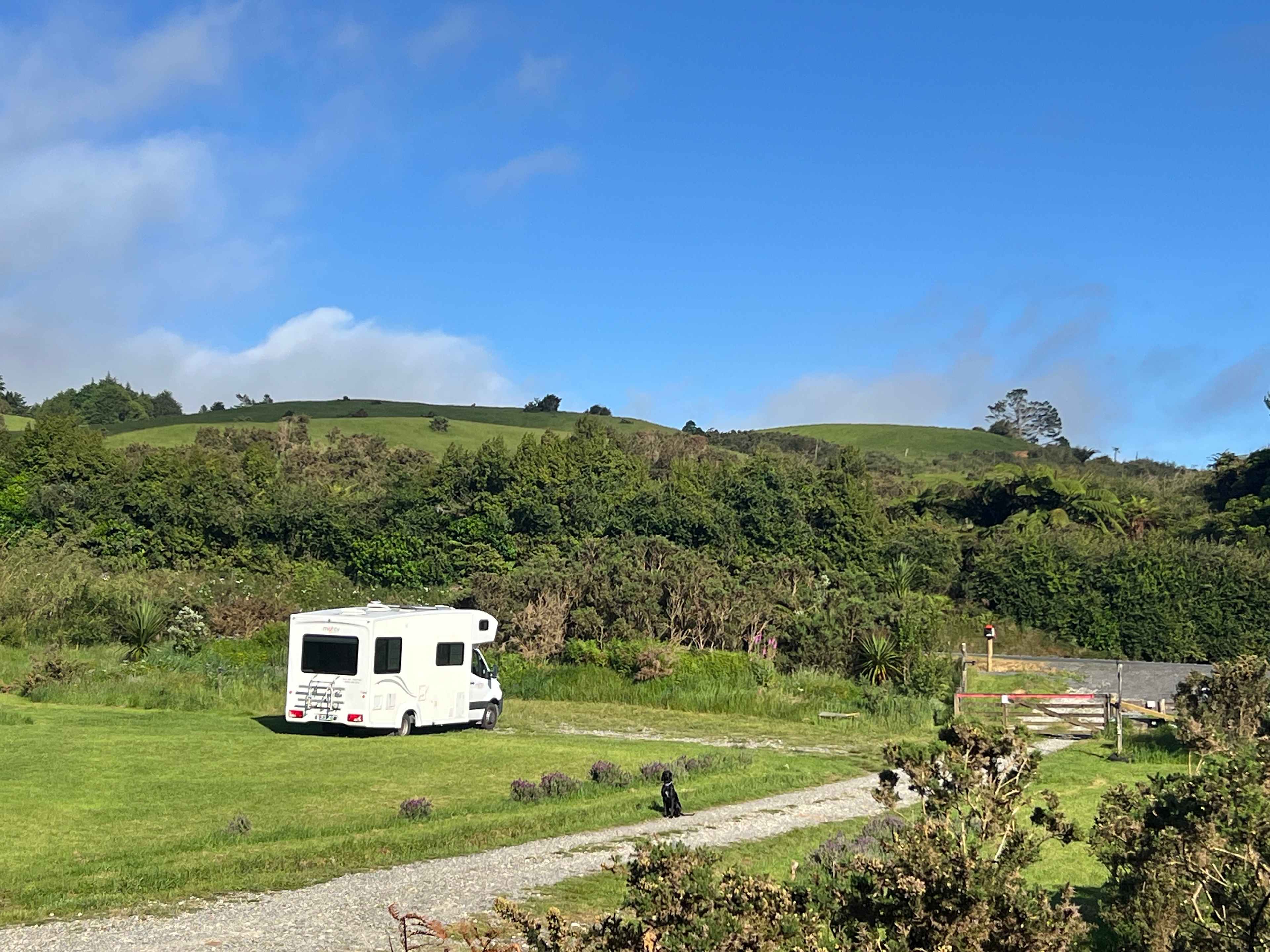 Camp in nature close to Hobbiton