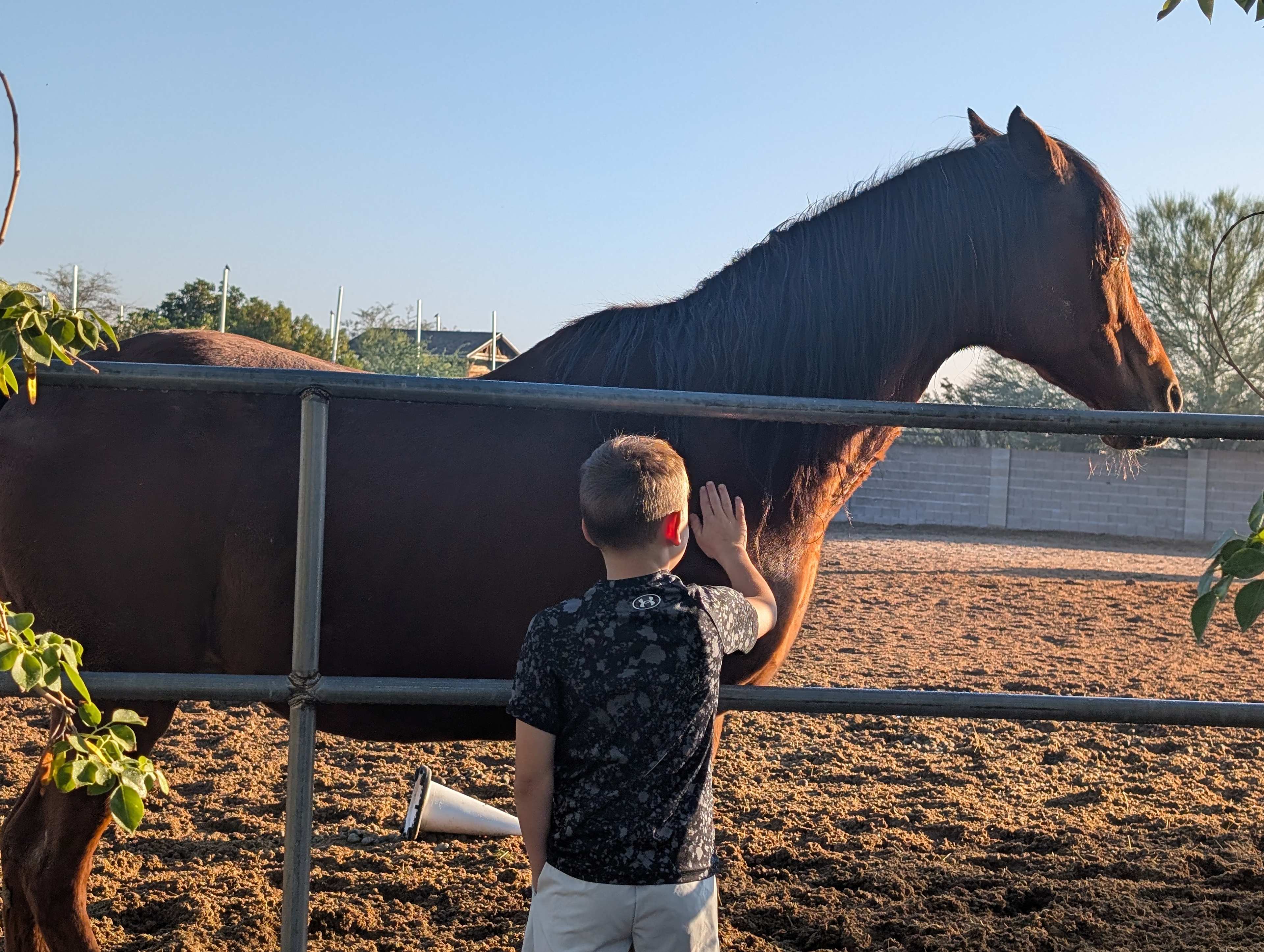 Santan Mountain Views