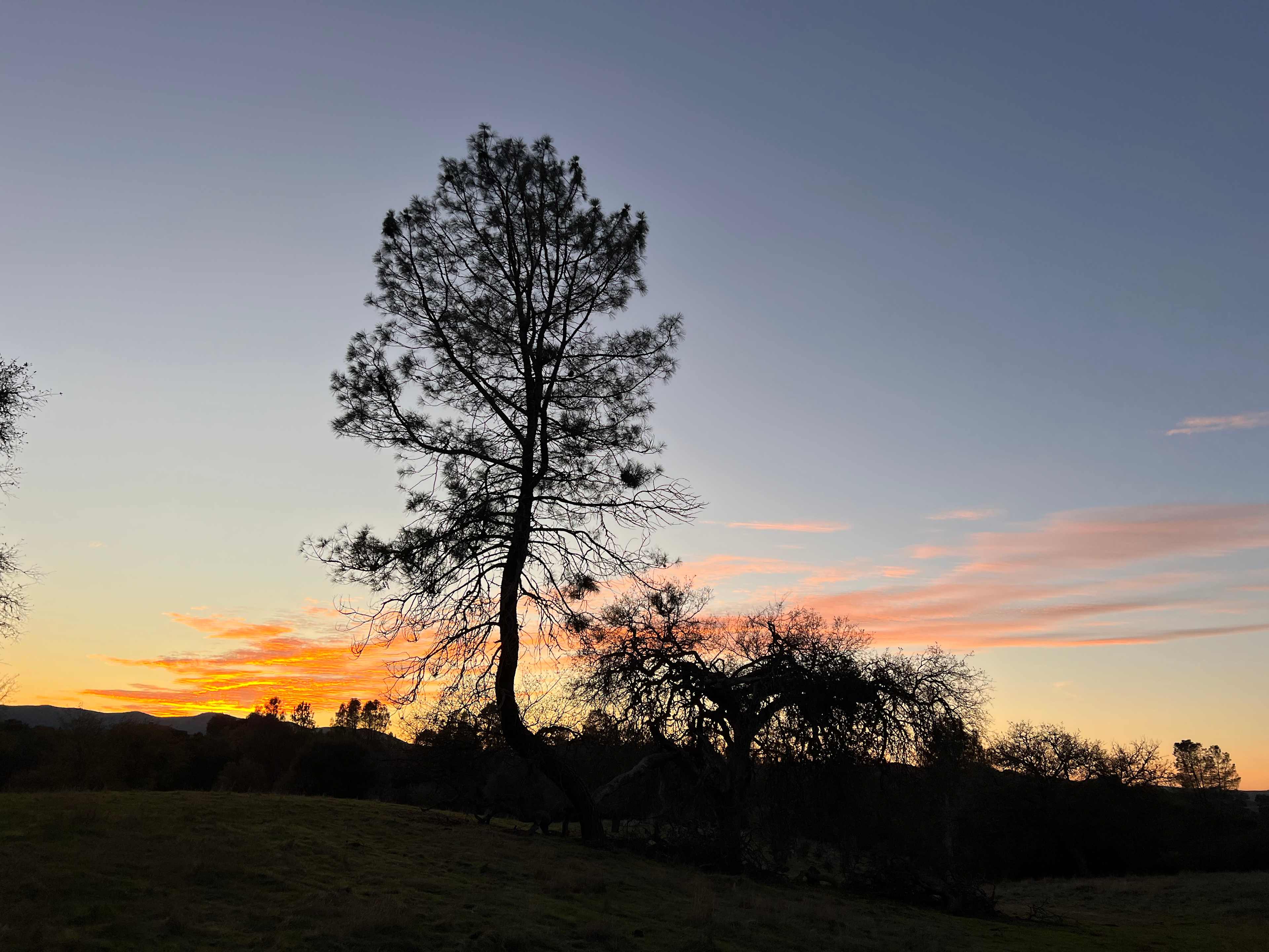 Wolf Six Ranch • Wine Country Stay