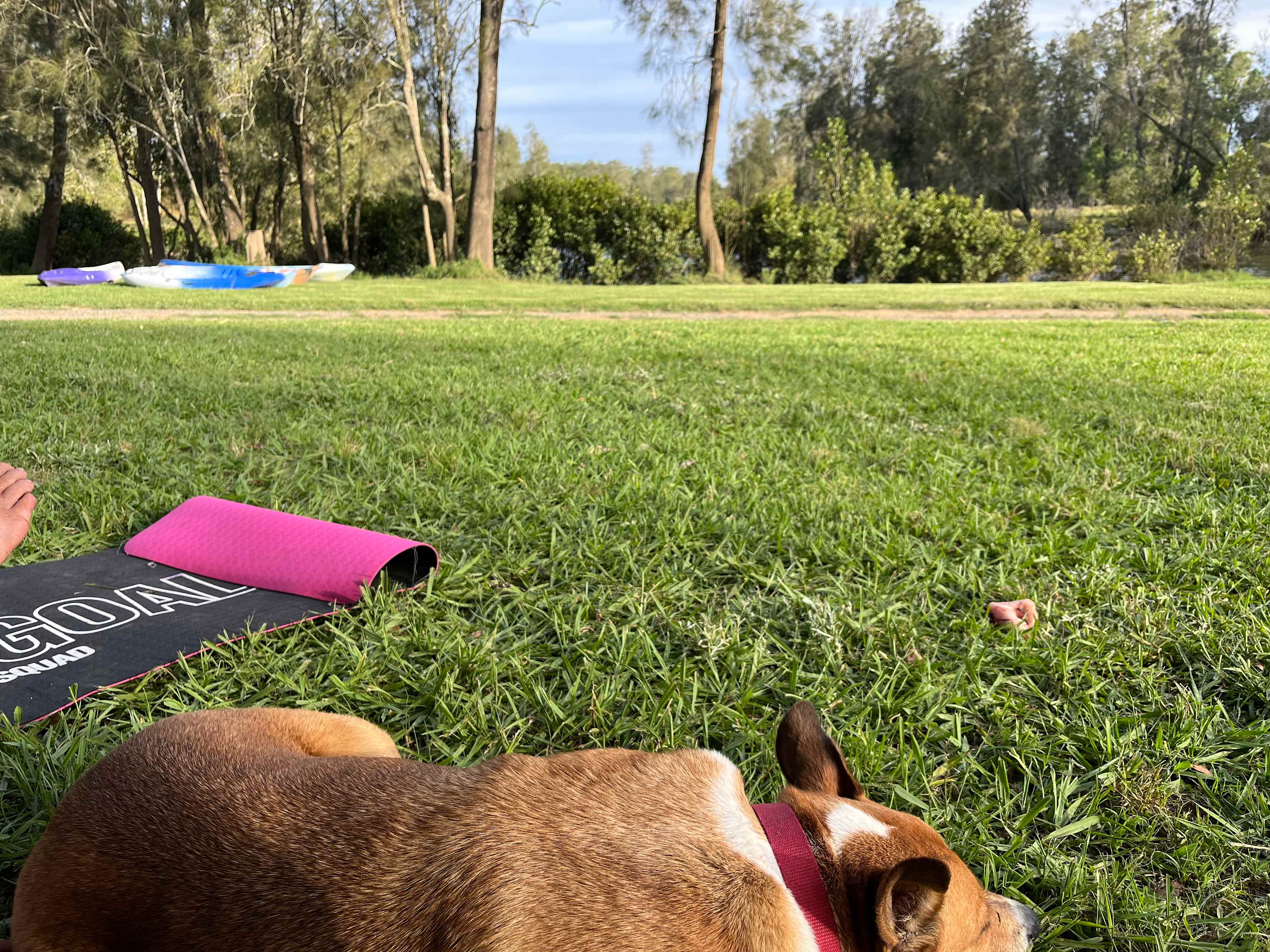 The Riverside Farm Escape Minimbah