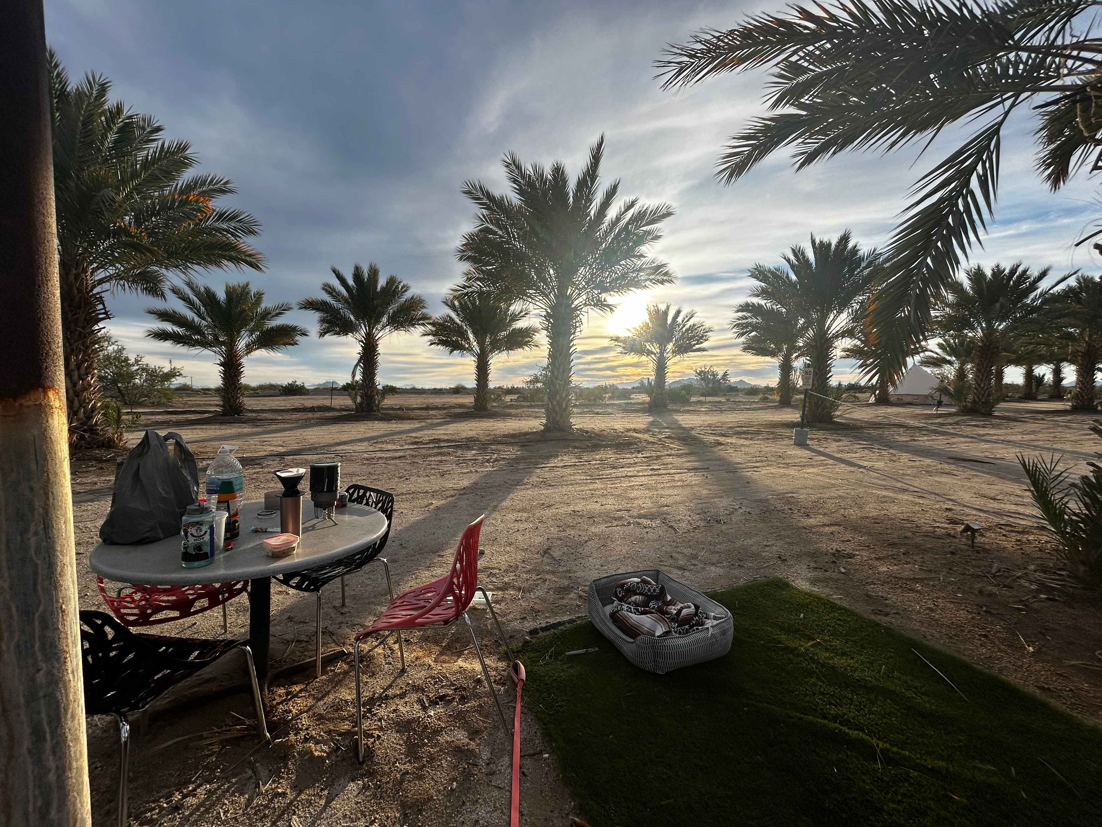 Brewery on an Organic Date Farm