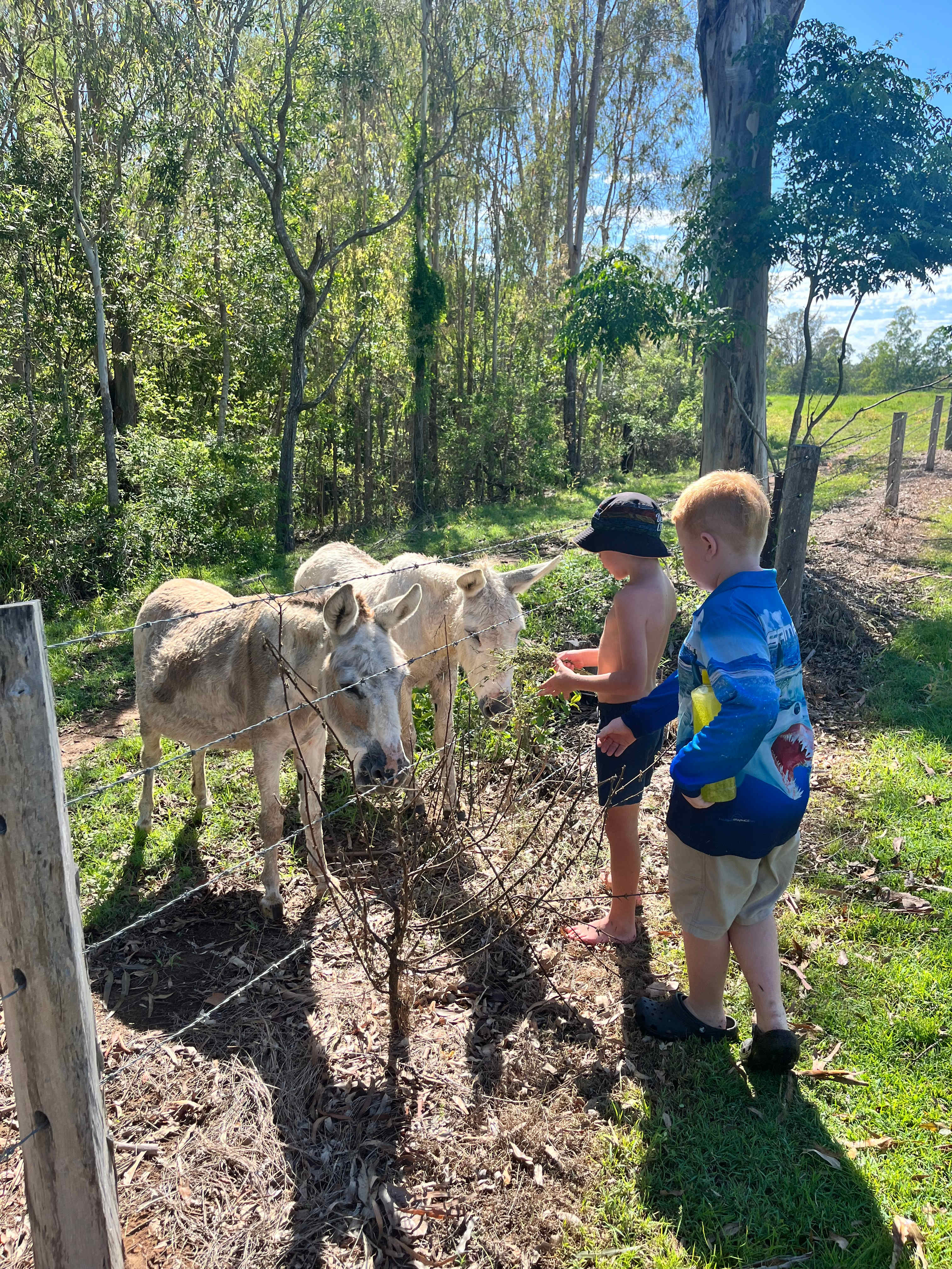 River Run Farm Camping