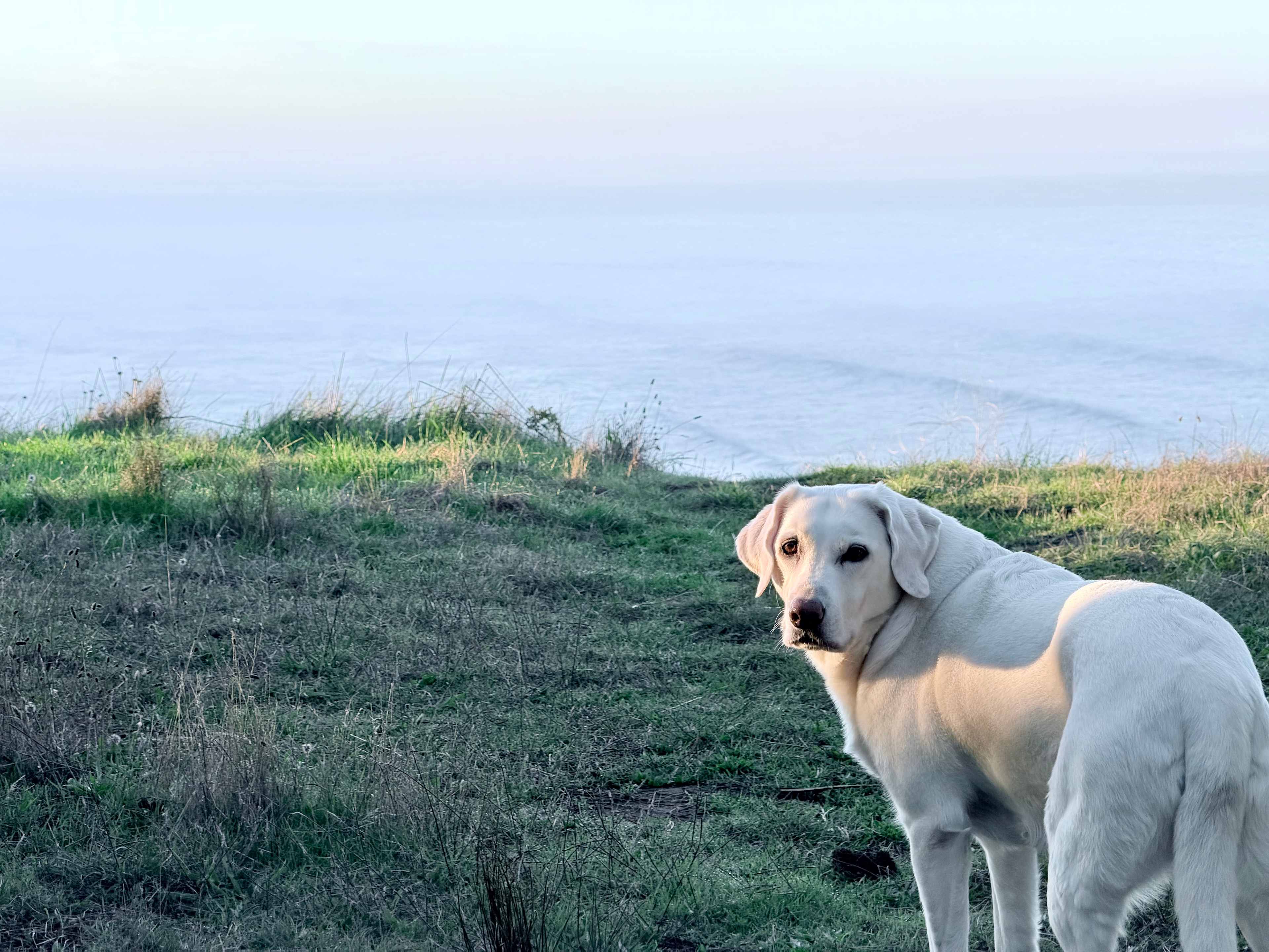 Tunitas Beach Overlook - Airstream