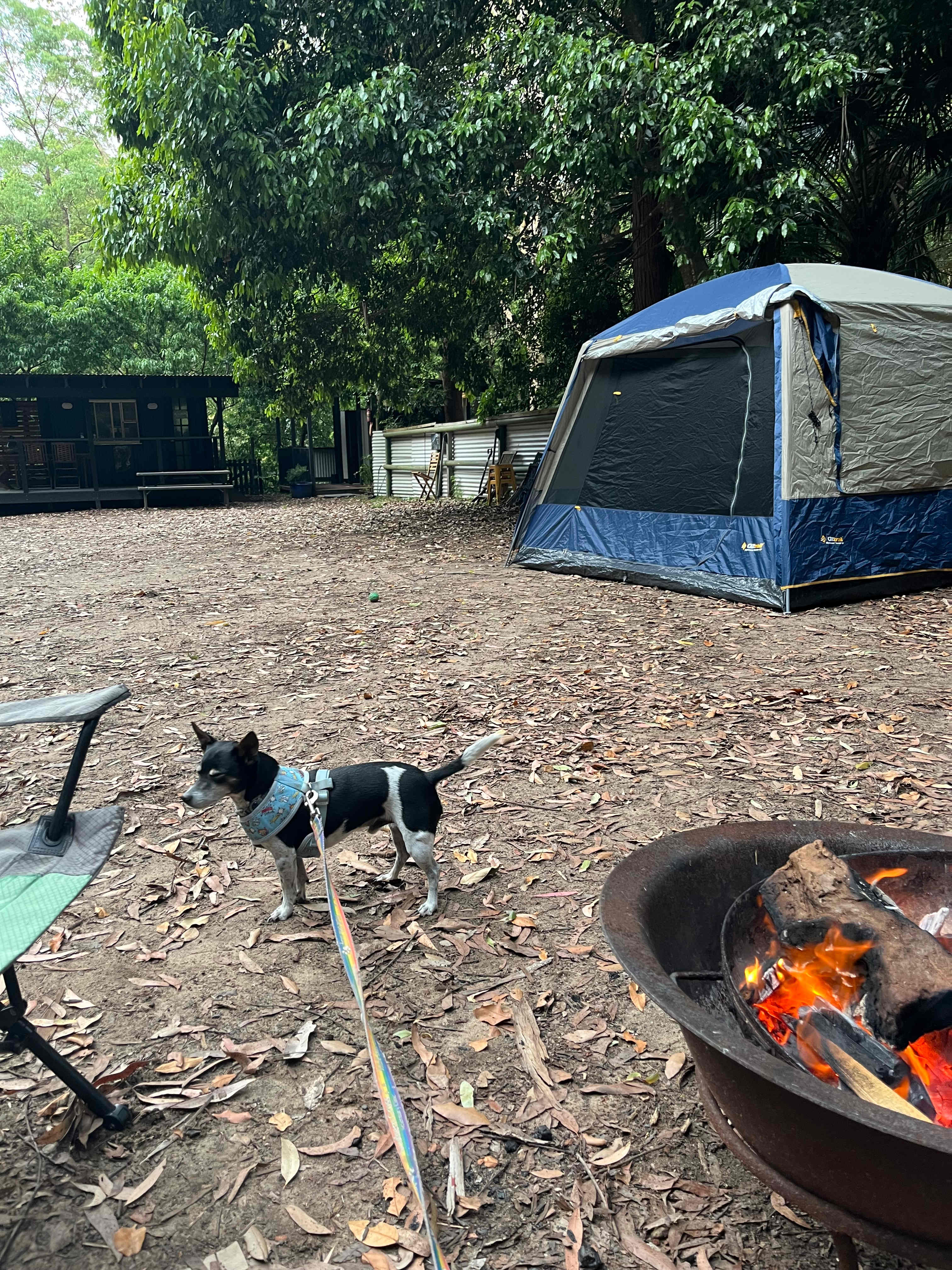 Otford Park nr Royal National Park