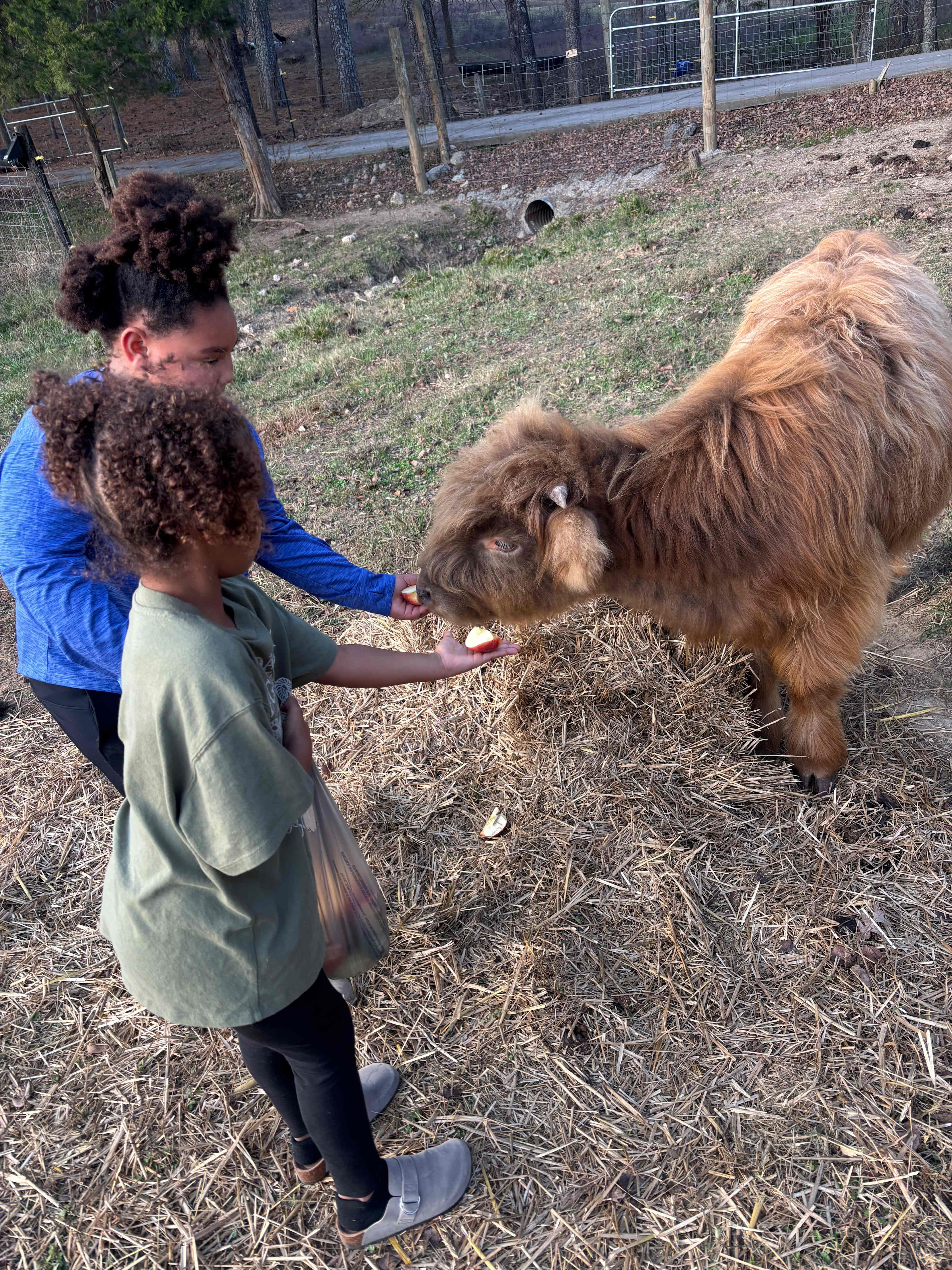 Magnolia Campground at Hixson Farms