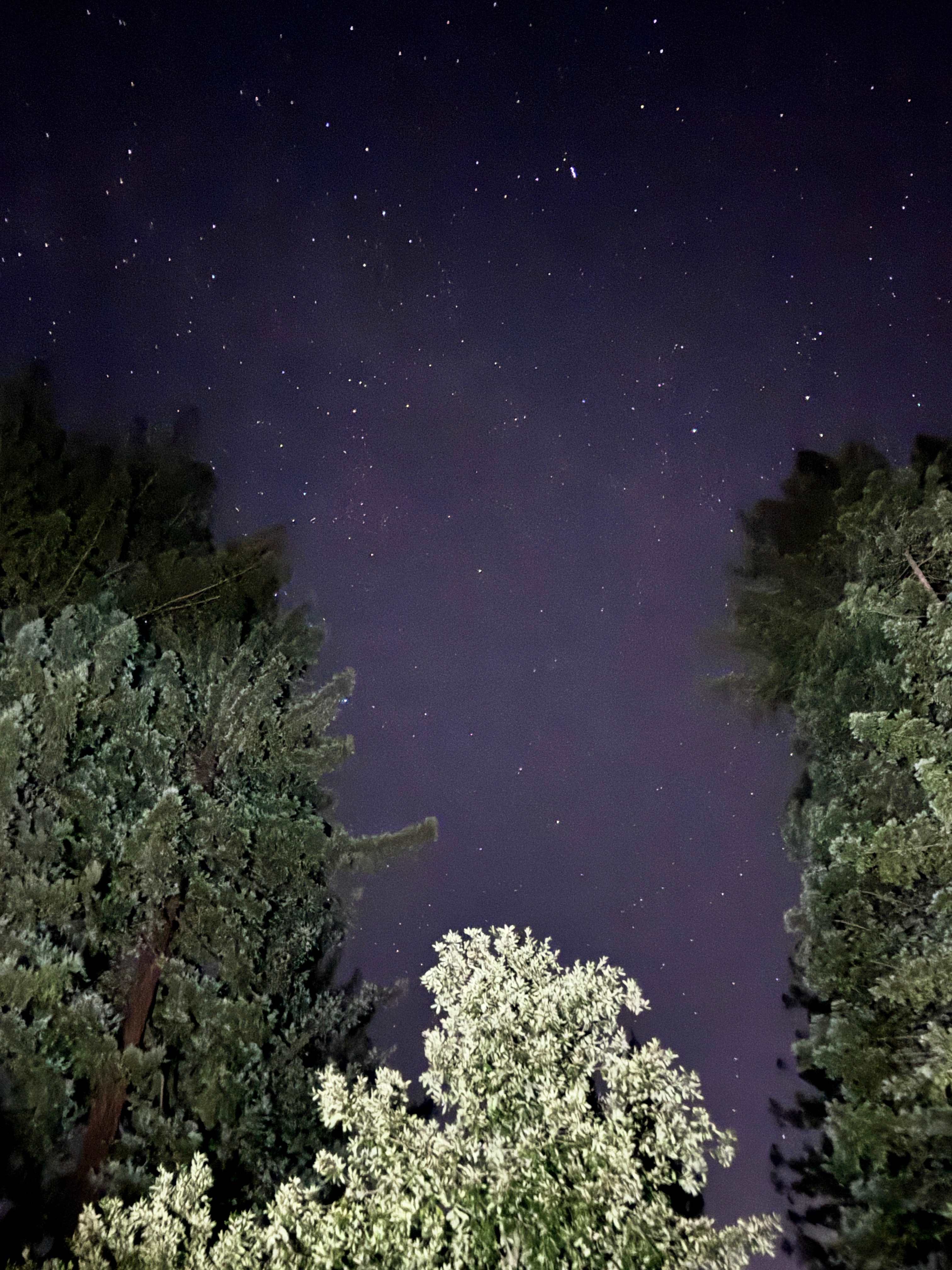 Private Sunny Redwoods Retreat