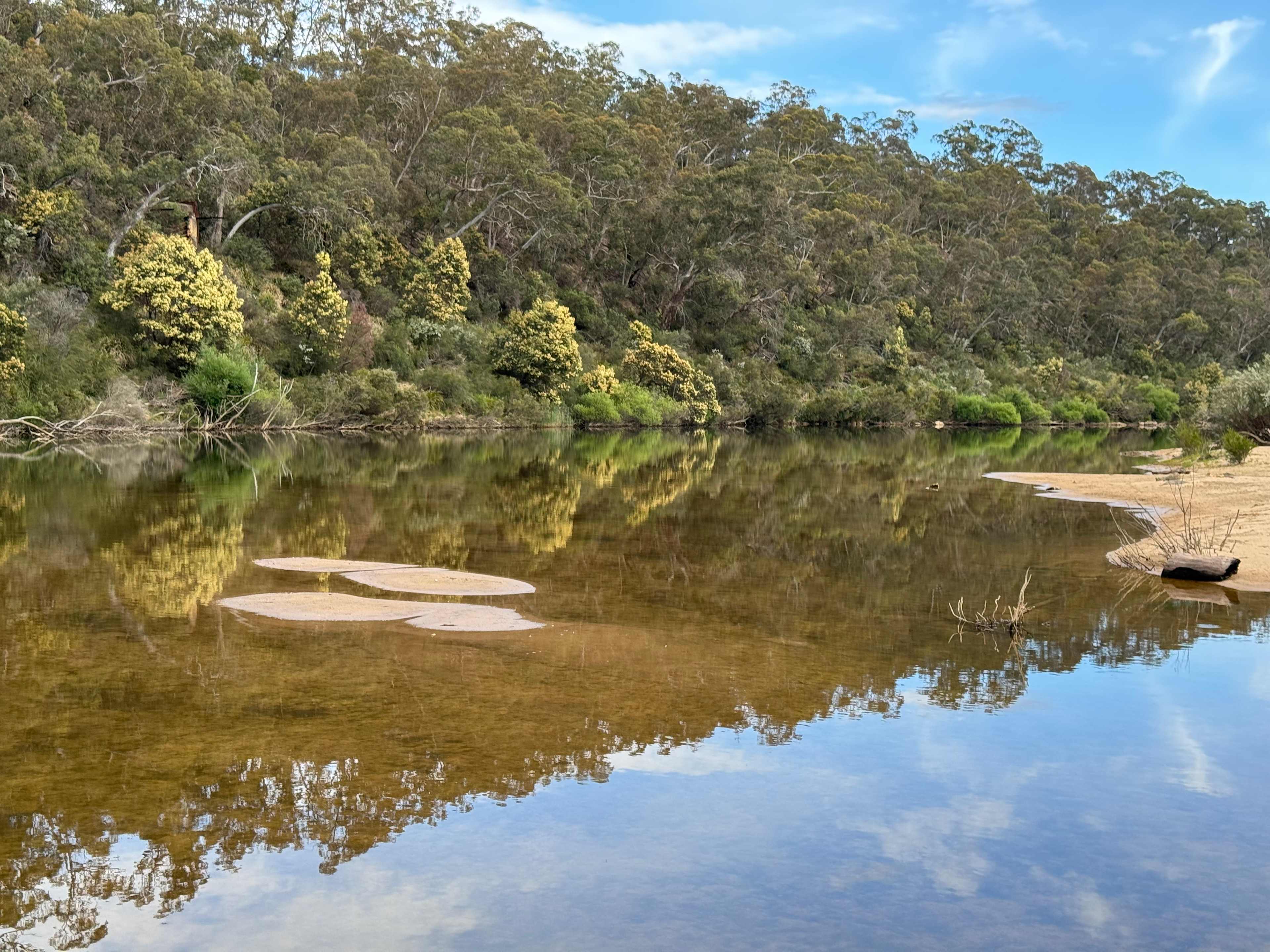 Truffle Farm Camping