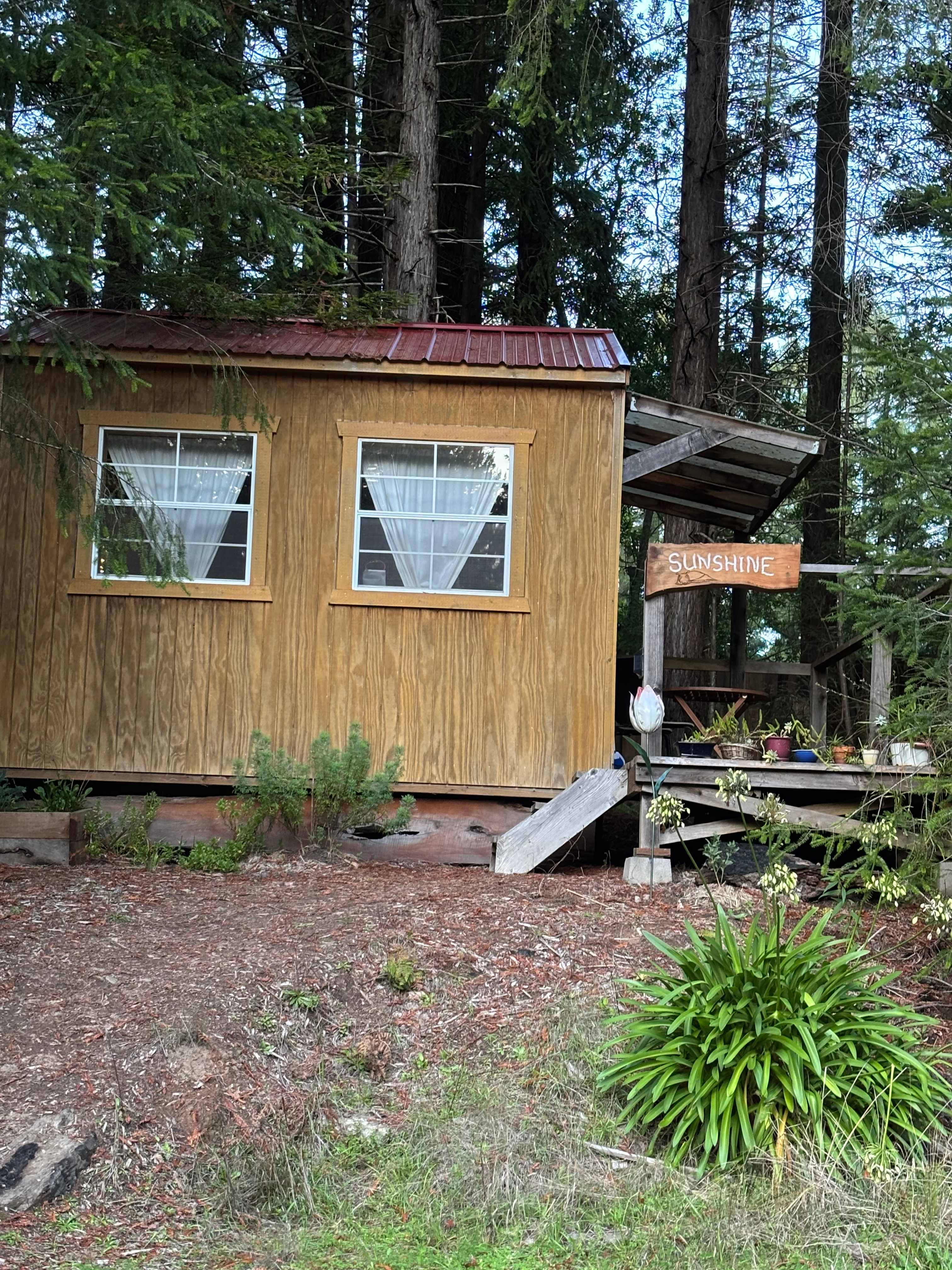 Baby Banana Slug Farm