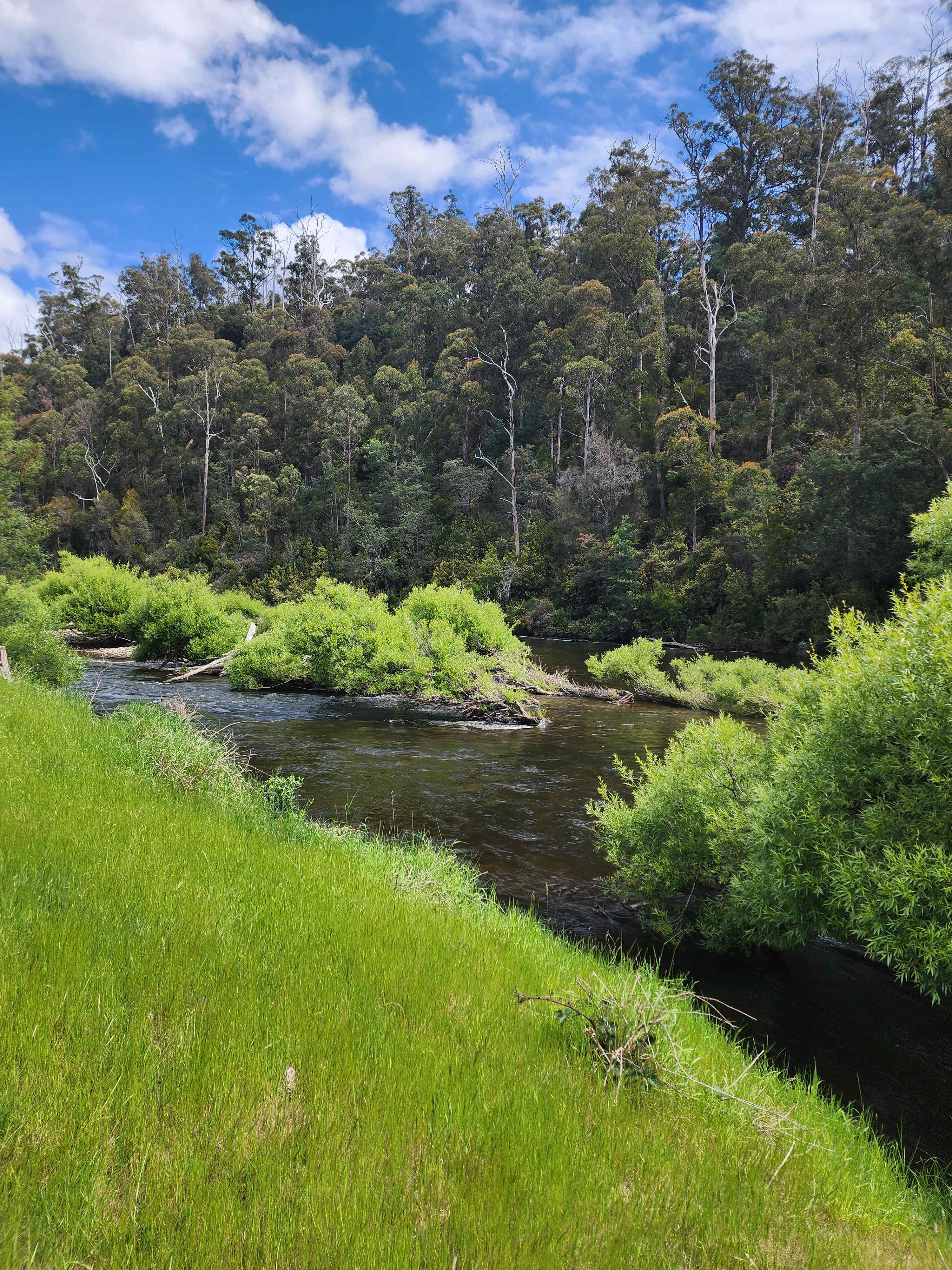 River Bend Havens - Camping
