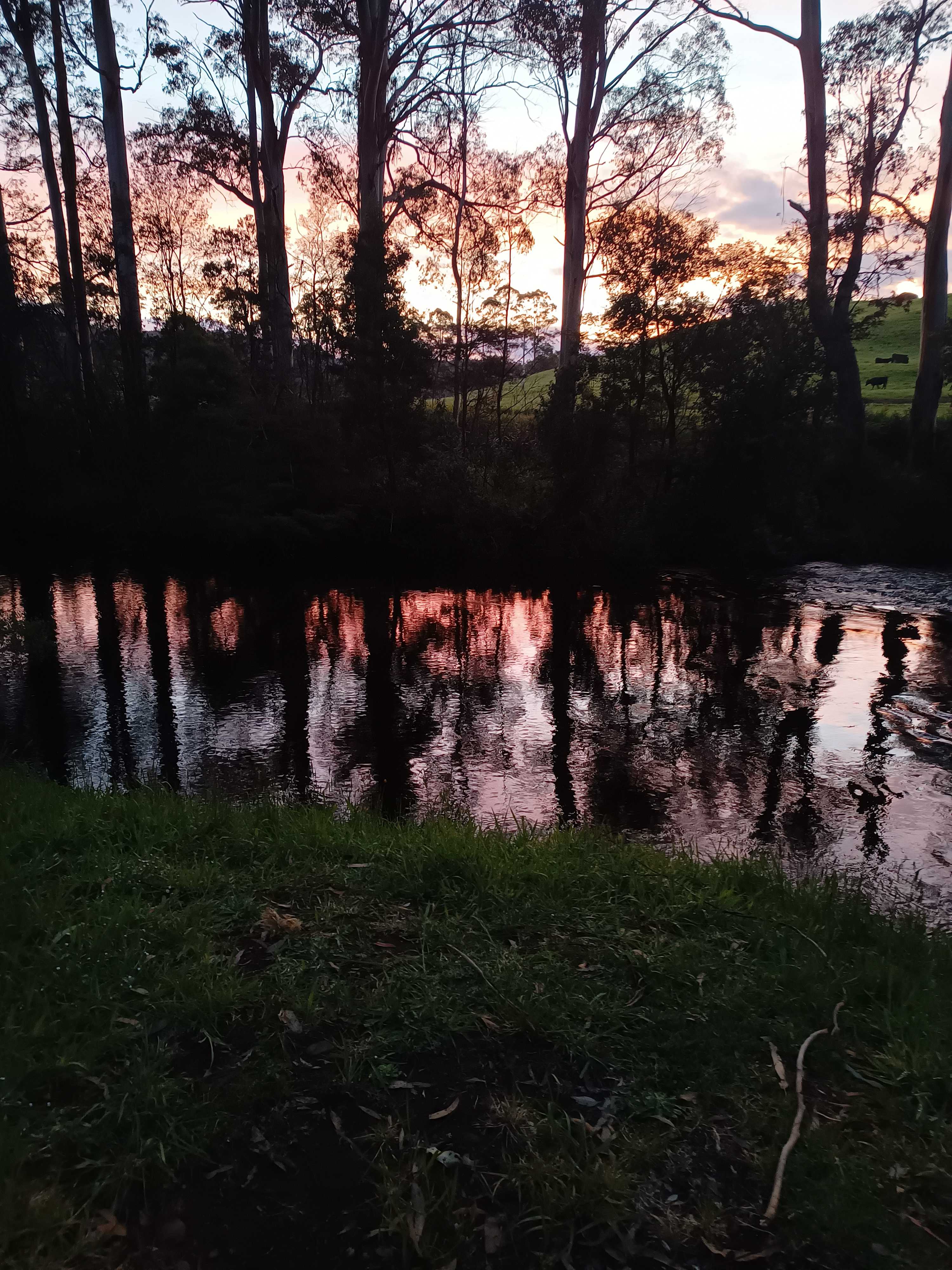 Blythe River Campground