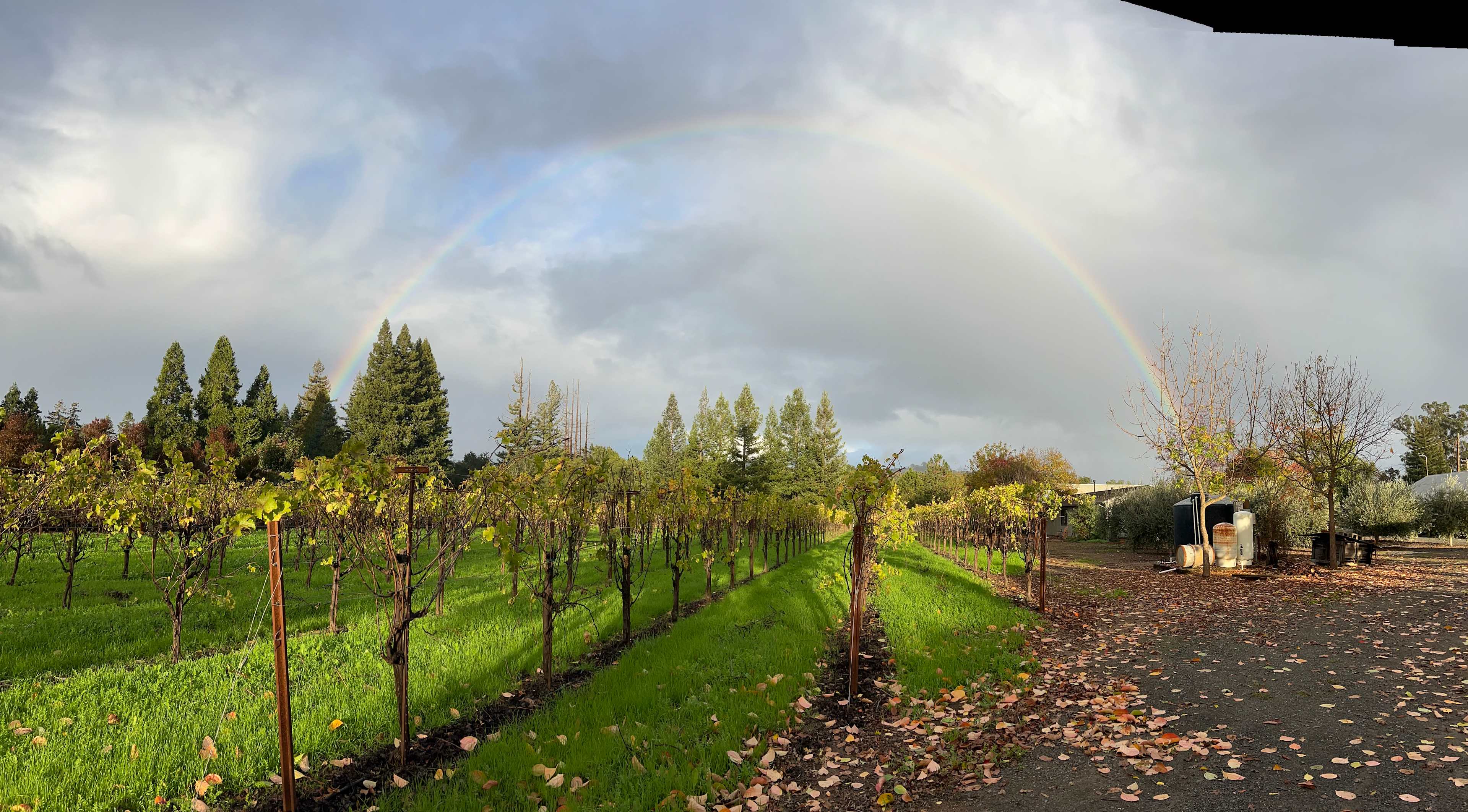 Barn Side - Site 3 -91C