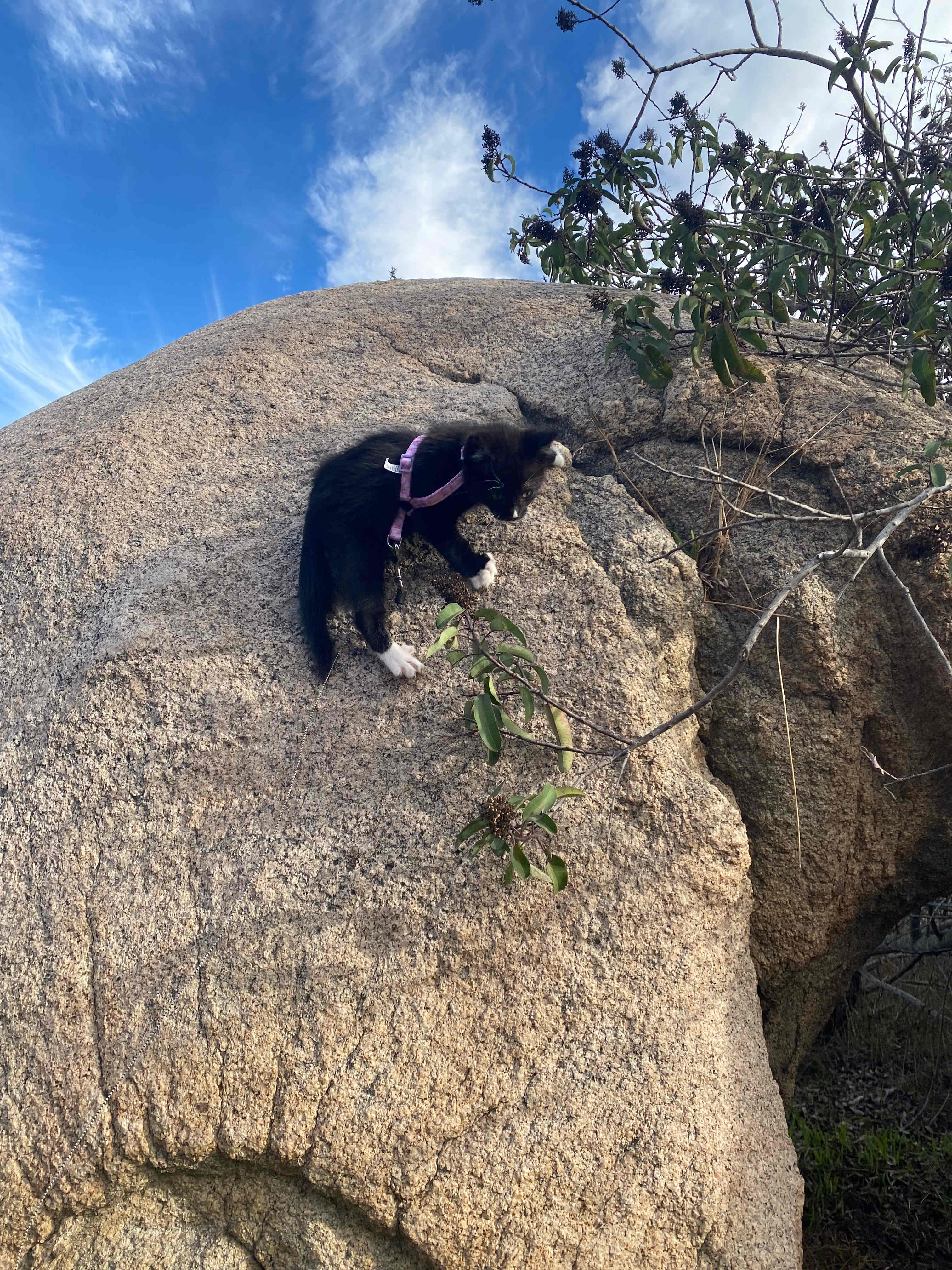 Splitrock Farm and Retreat