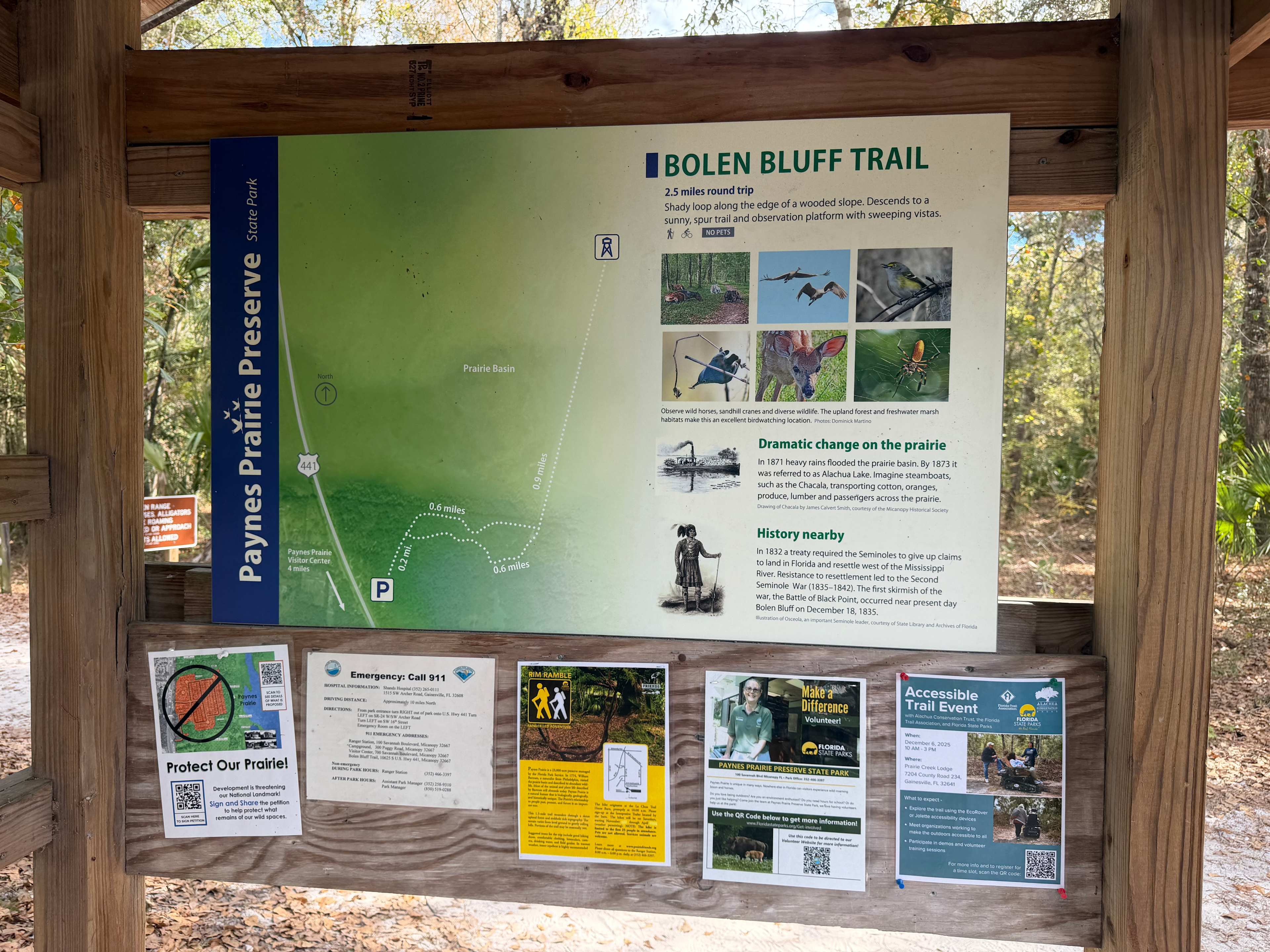 Check out paynes prairie state park for nice hiking nearby!