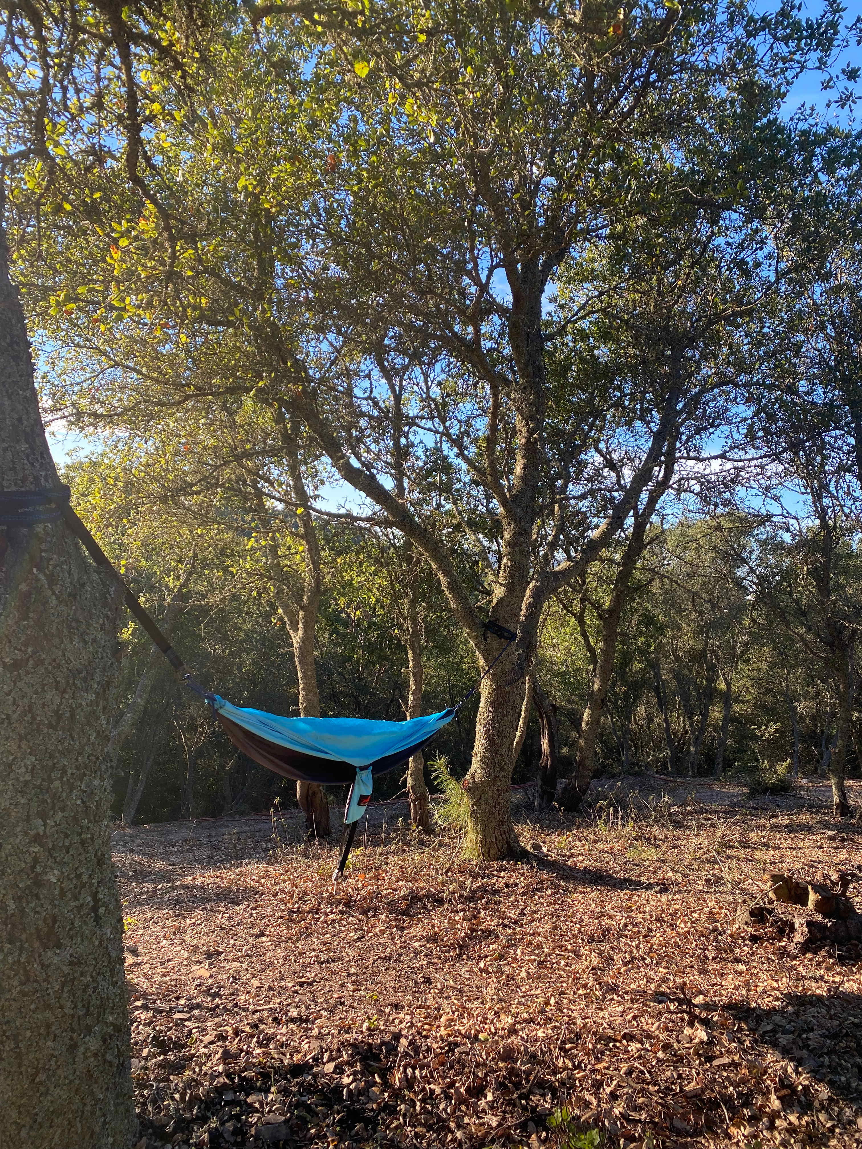 Mt Rancho (FKA La Montaña Ranch)