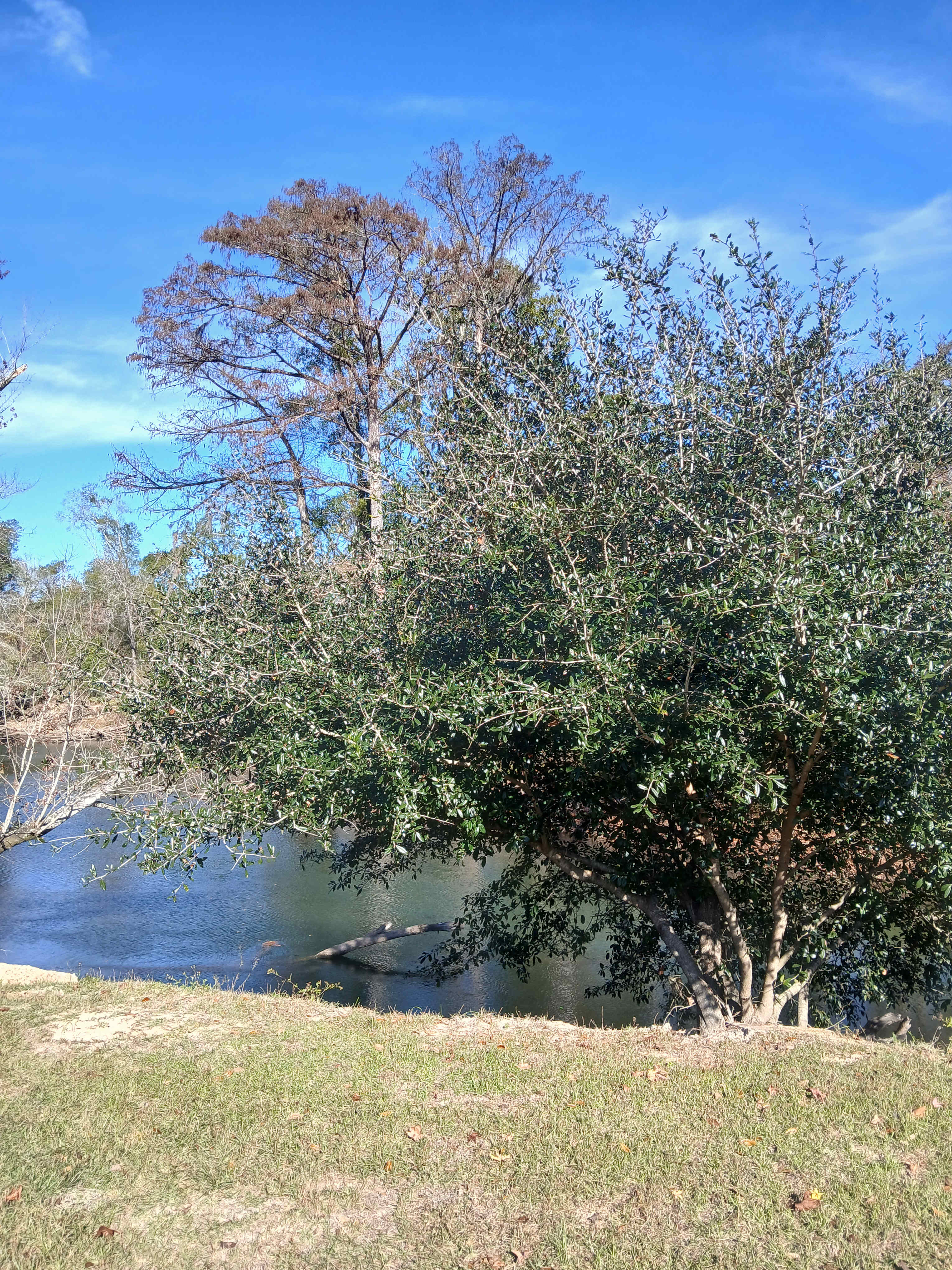 Sweetwater Daze River Camp