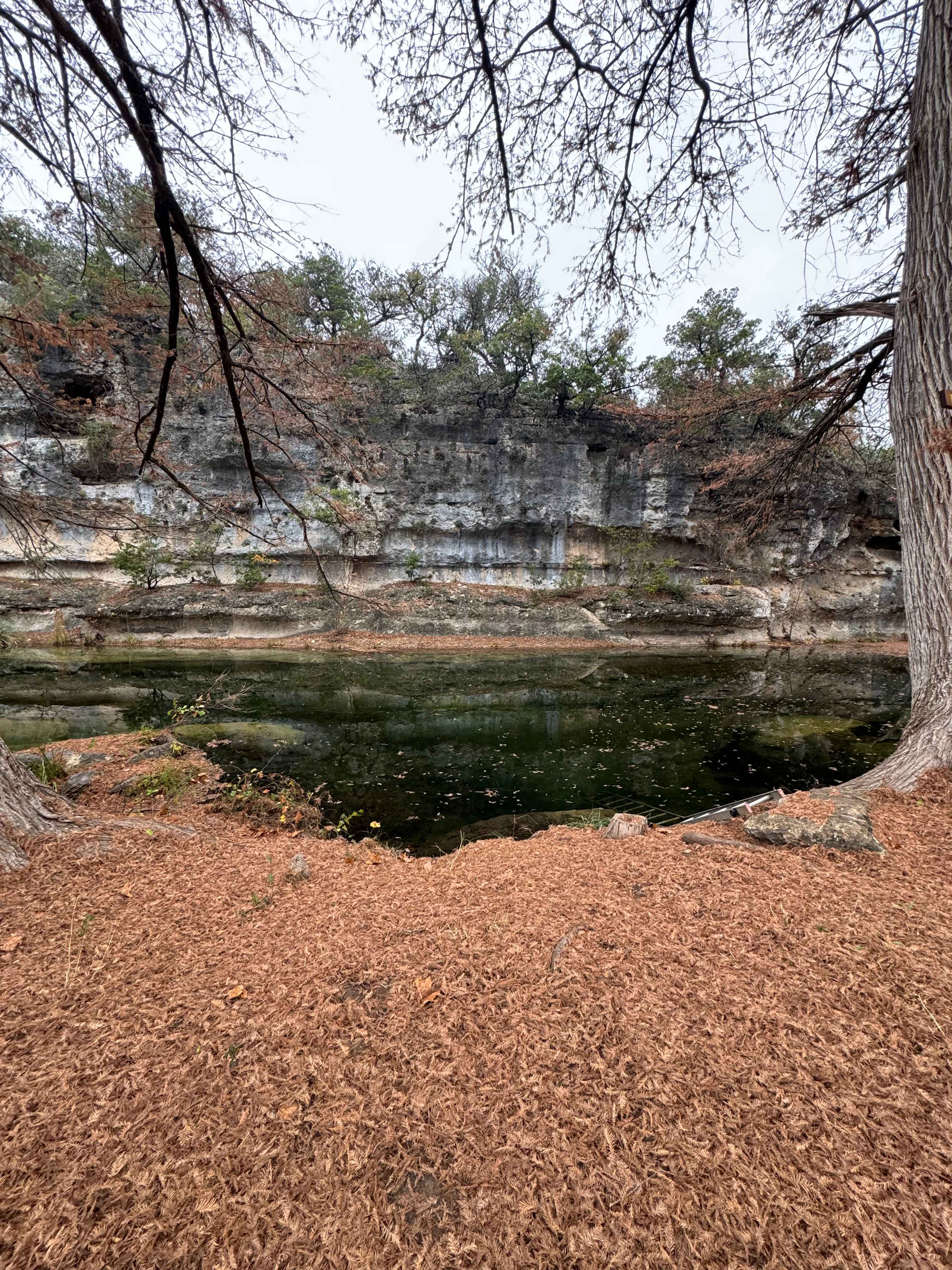 Perfect for paddle boarding and fish watching. 
