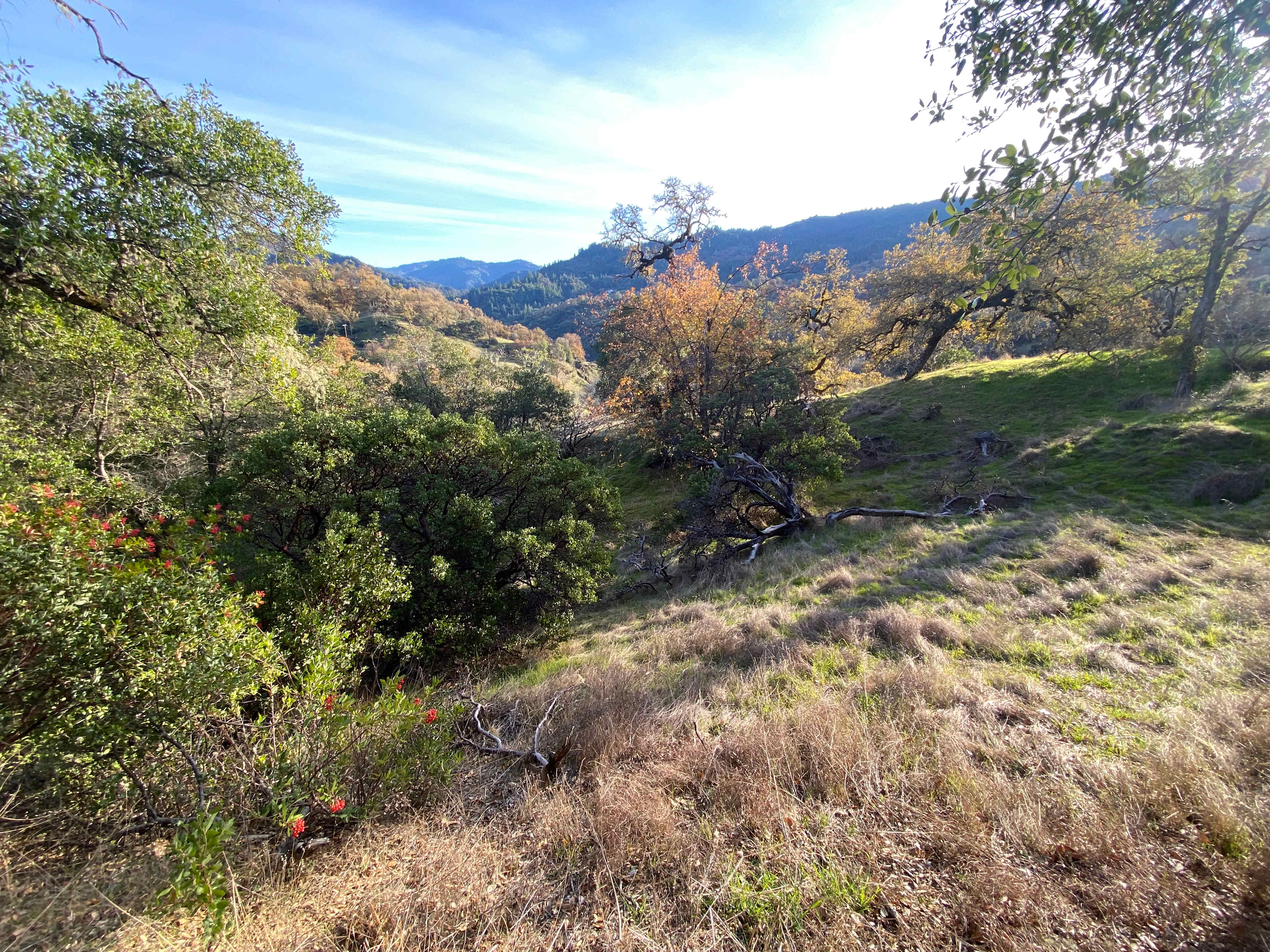 spirit chicken ranch