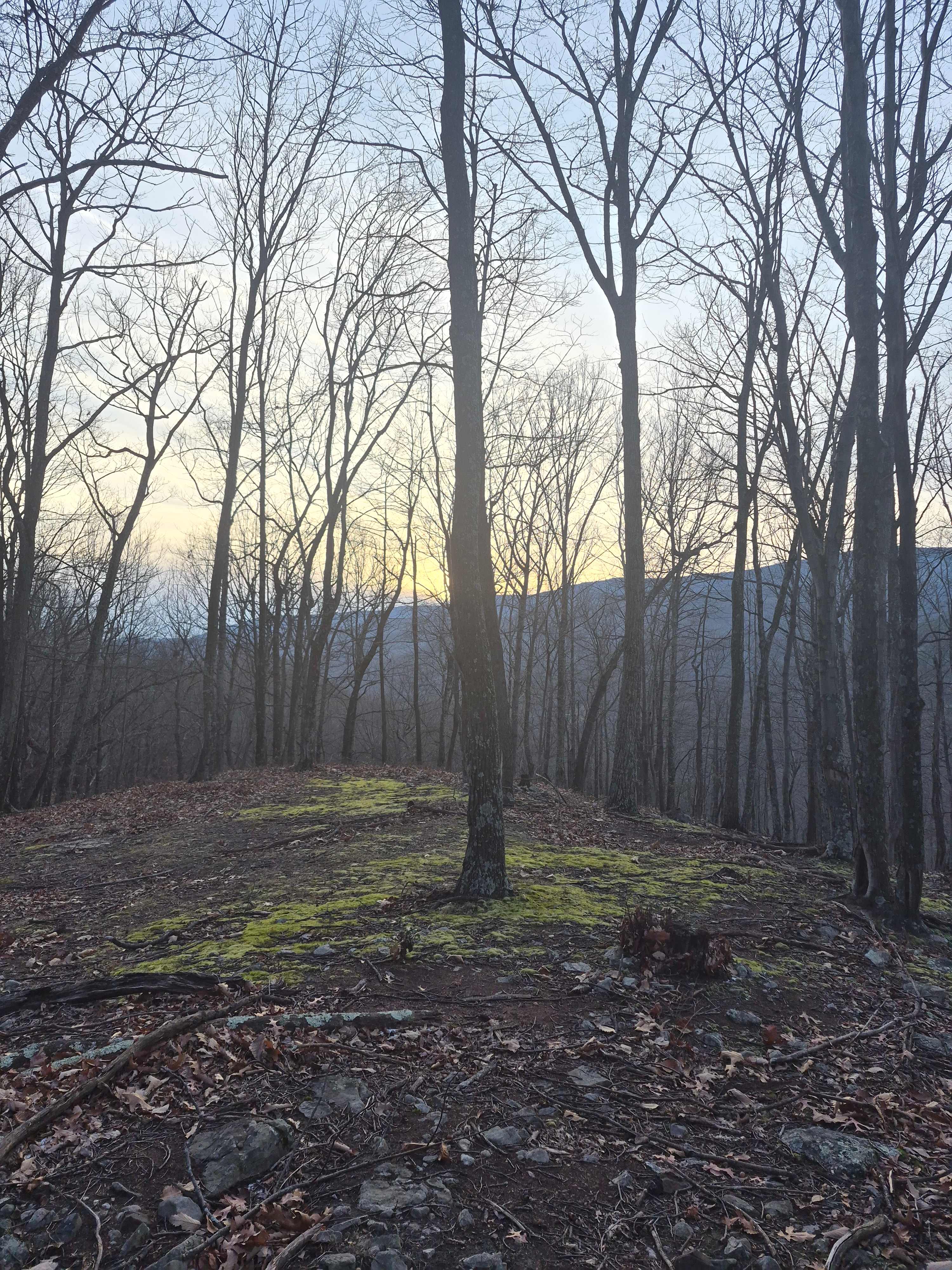 Rocky Hollow Paradise LLC