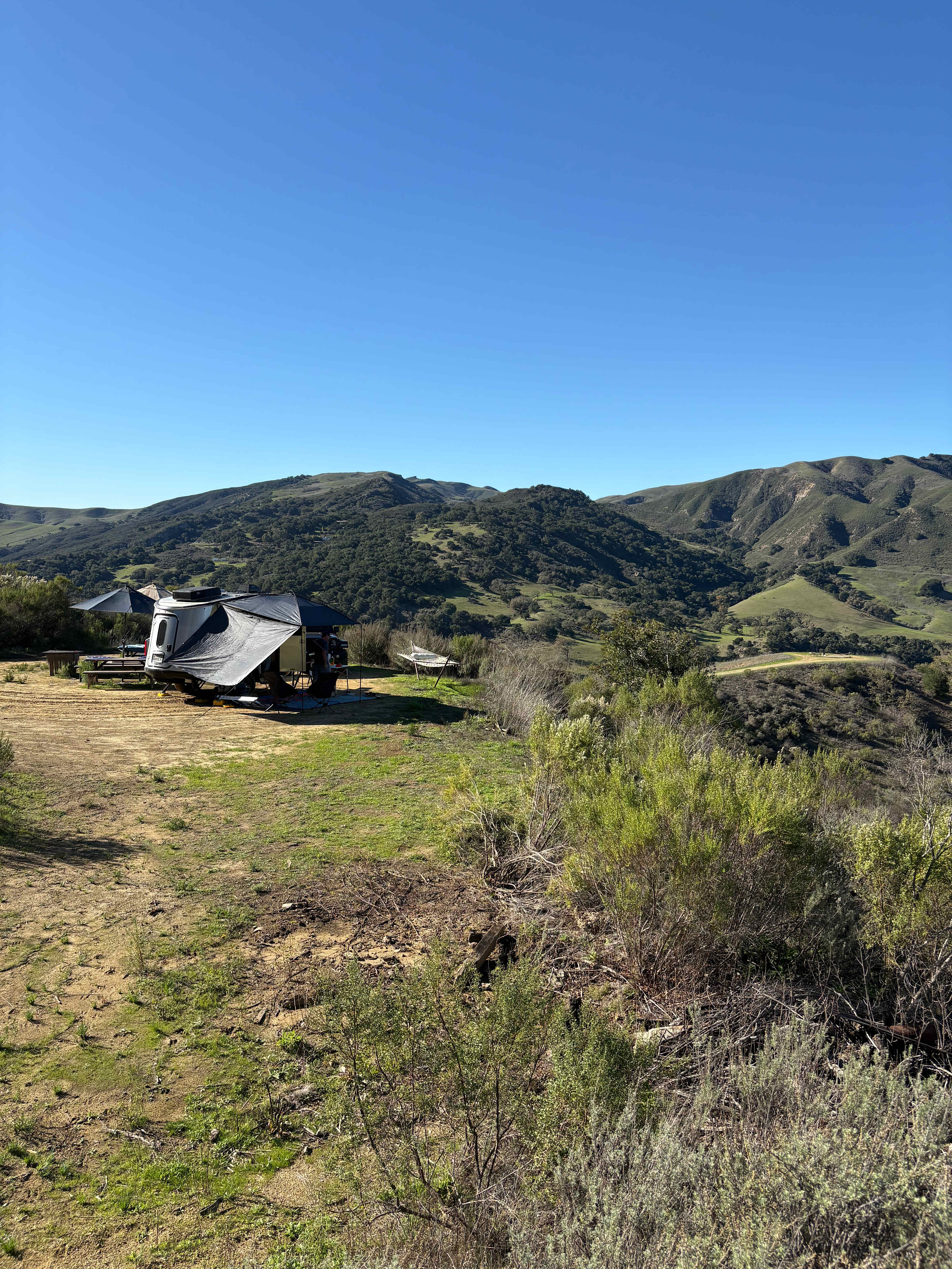 Freedog Farms @ Cactus Flower Ranch