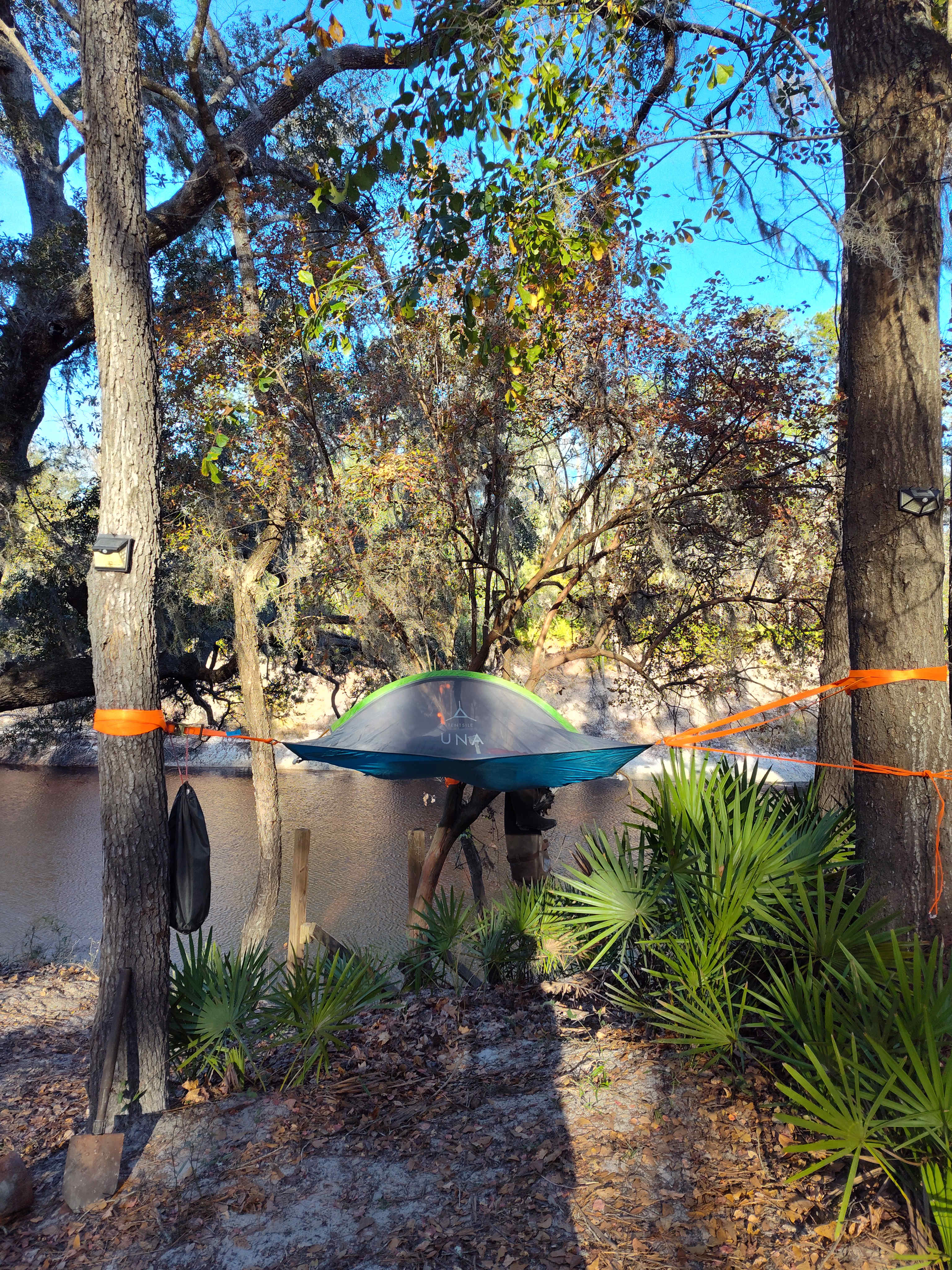 Tree tent "on the edge"