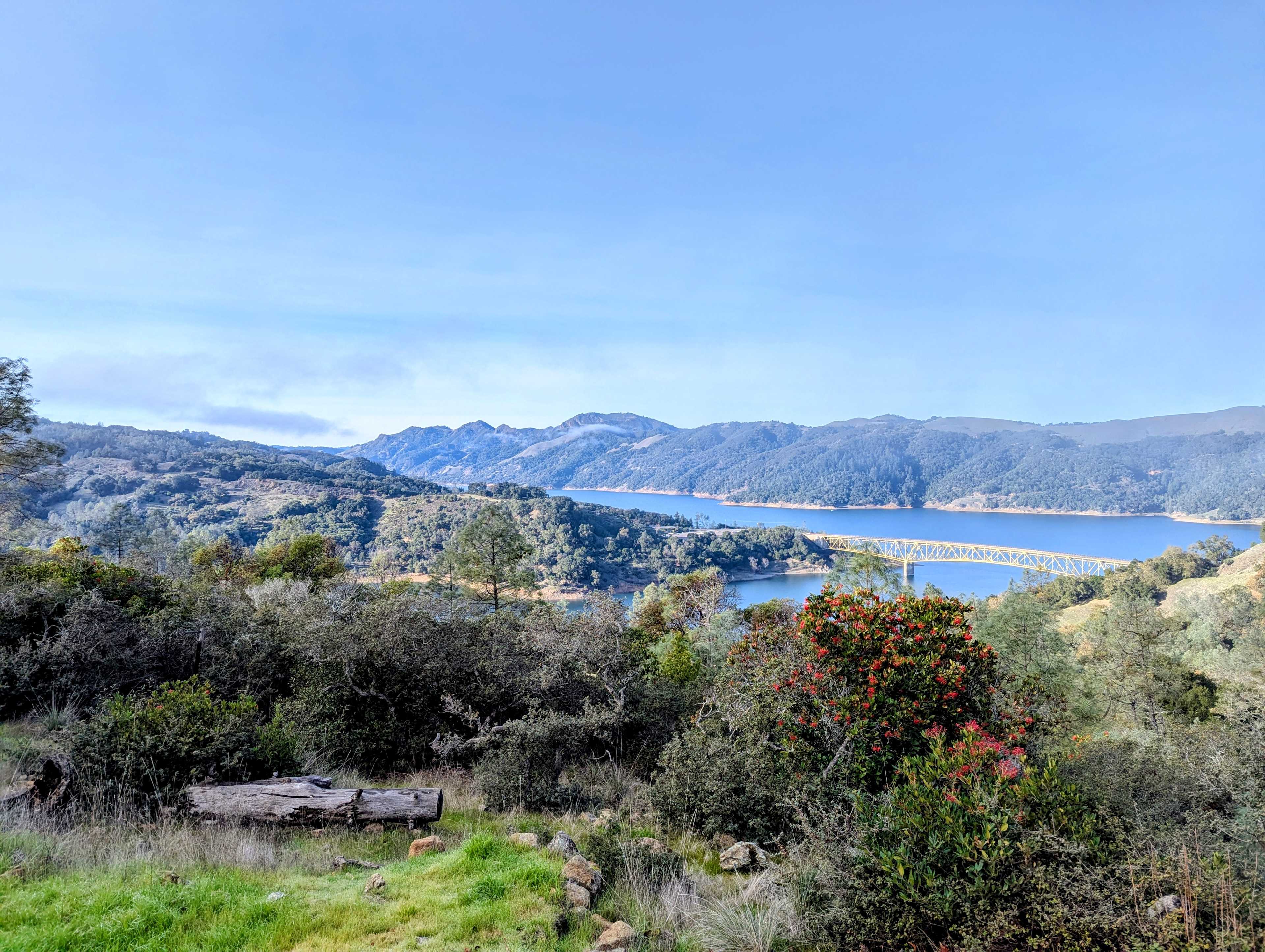 The view! From the site