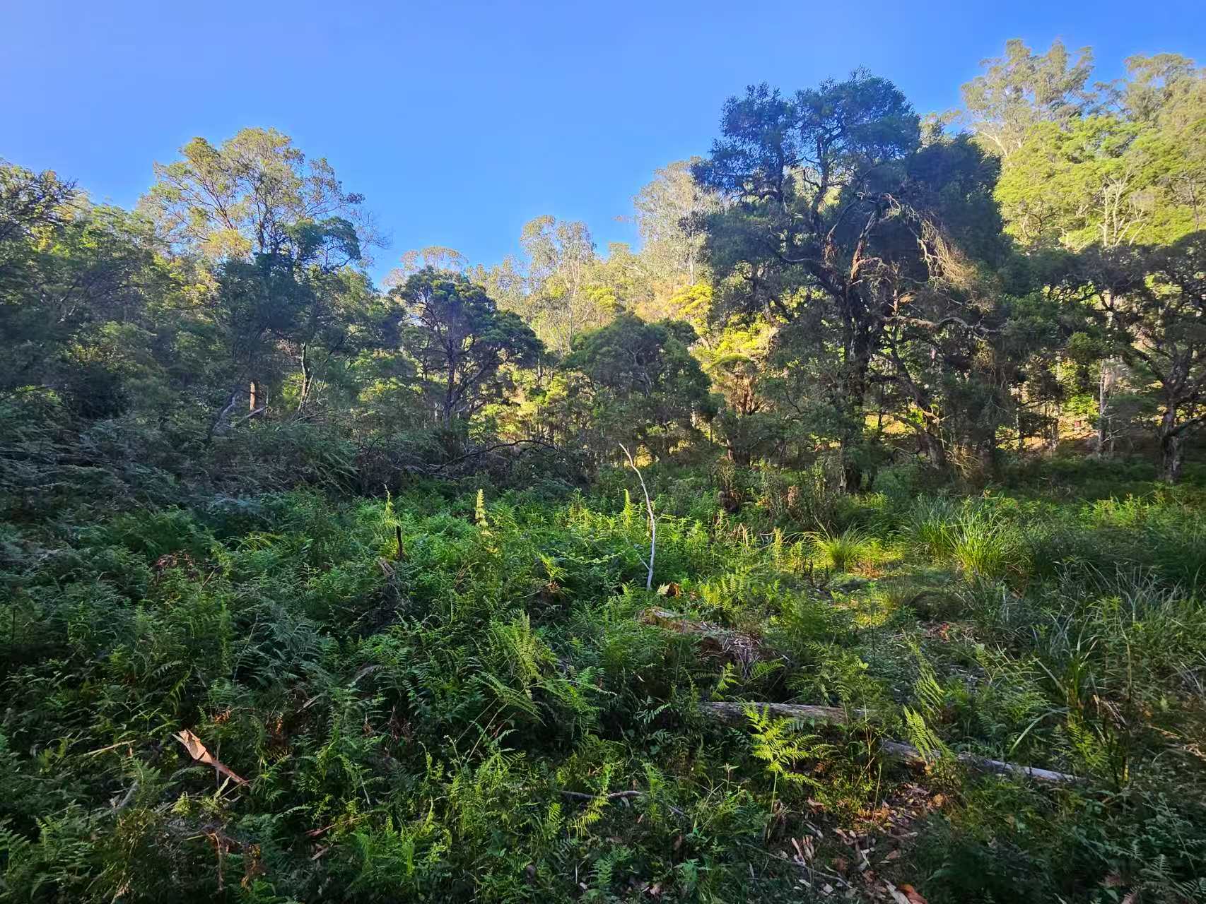 Willow's Retreat Nature Escape