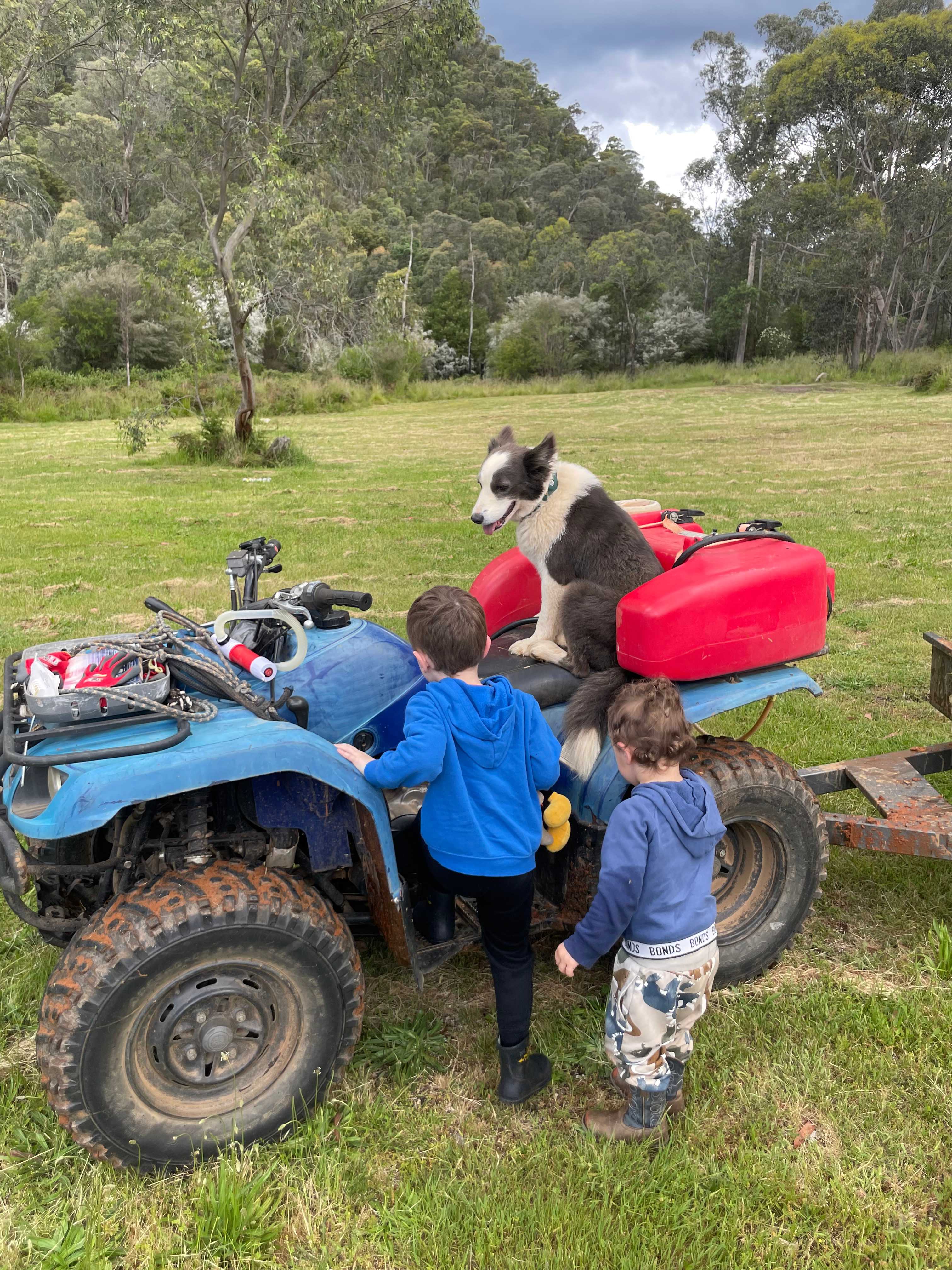 High Country Paradise