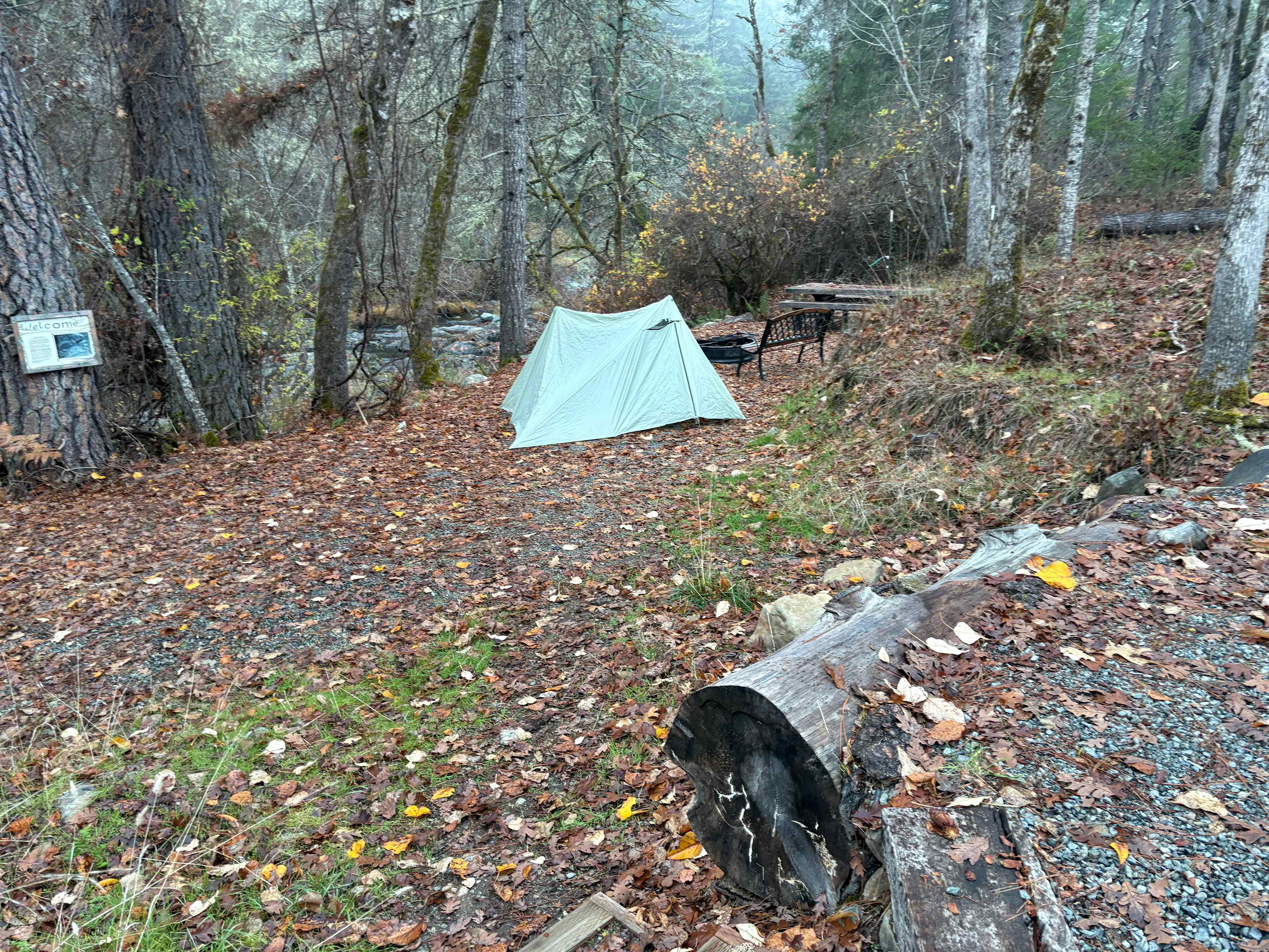 Forested creekside campsite