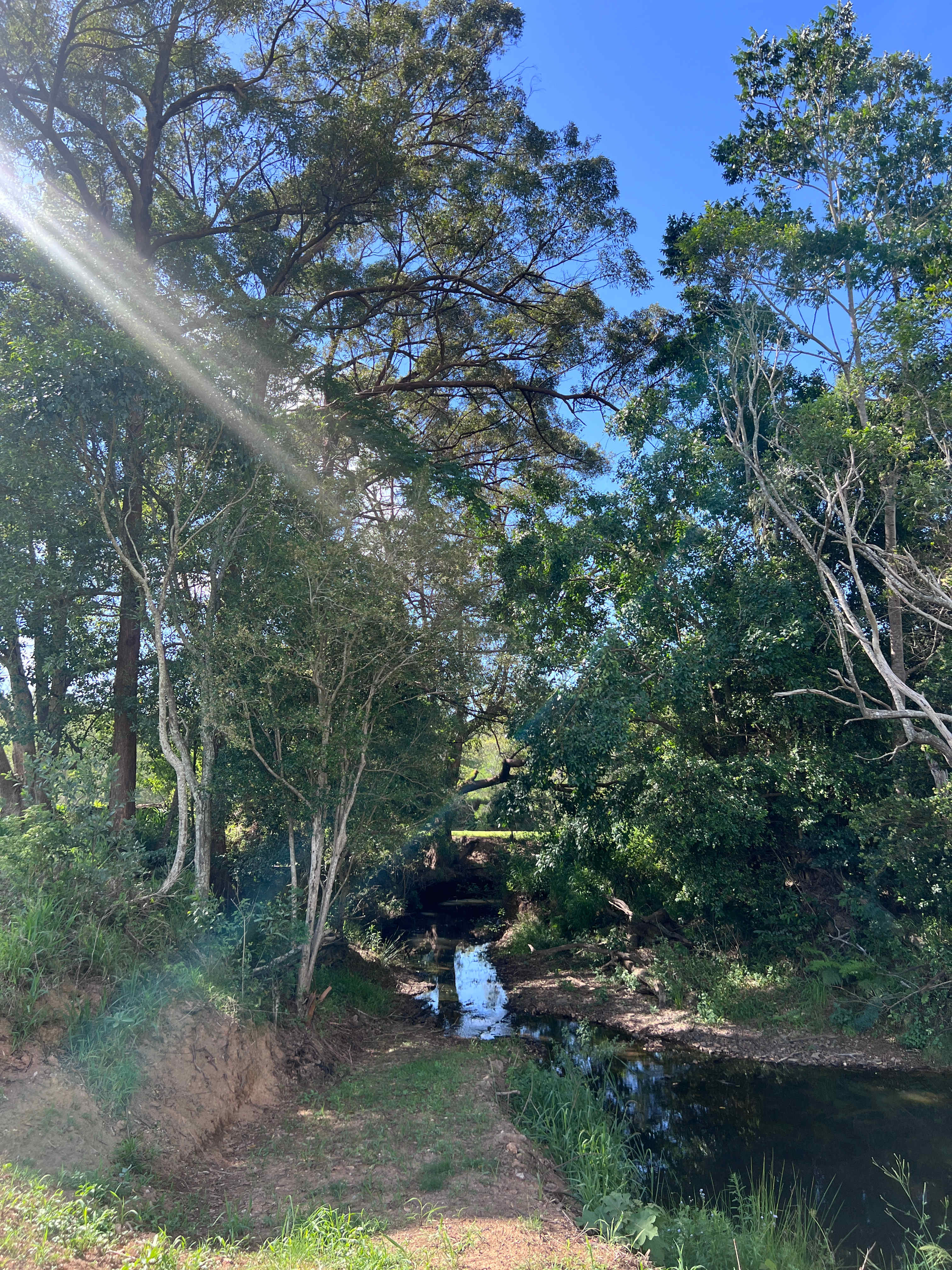 Sandycreek Homestead