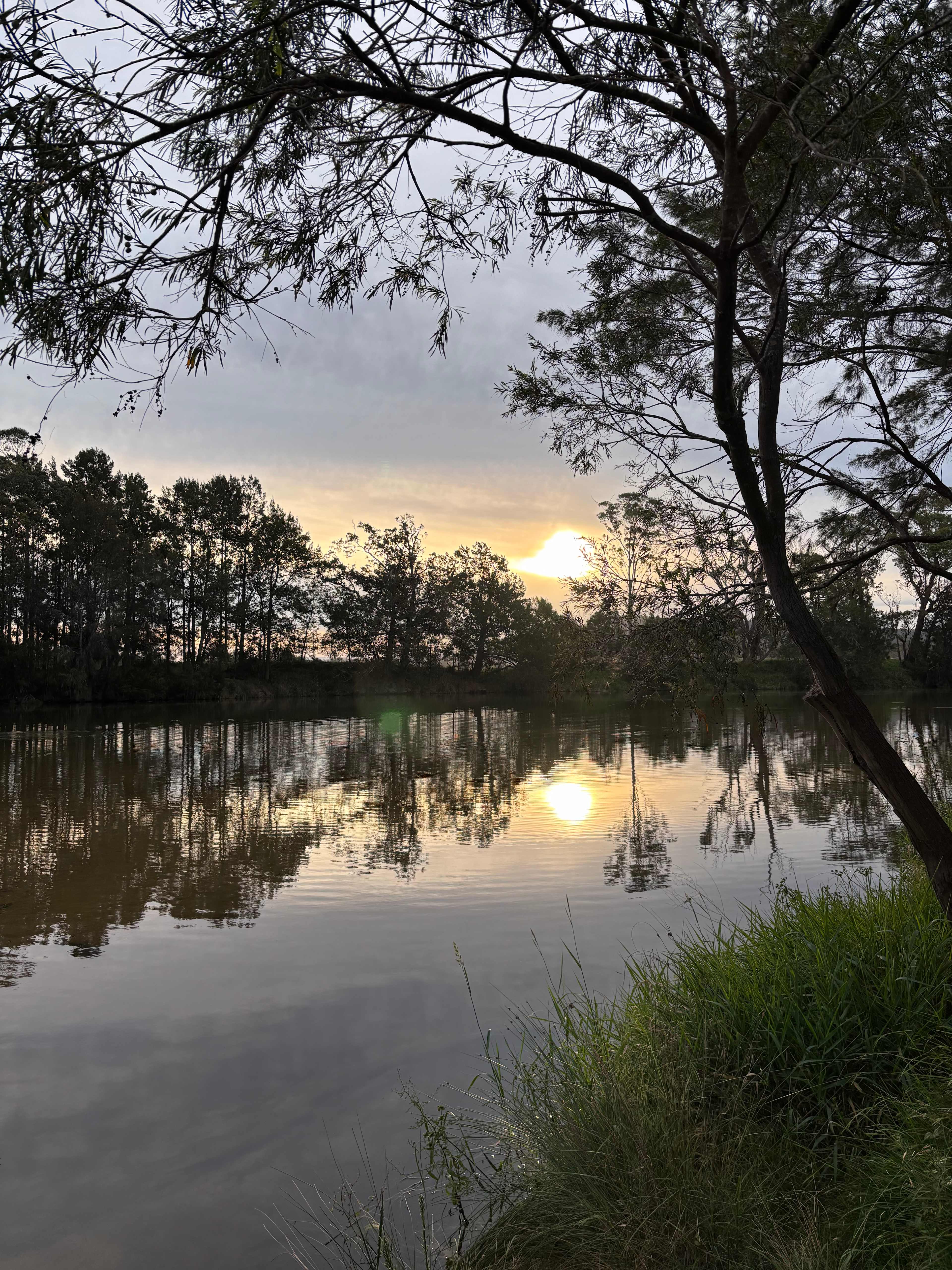 Riverview Farm, Bodalla