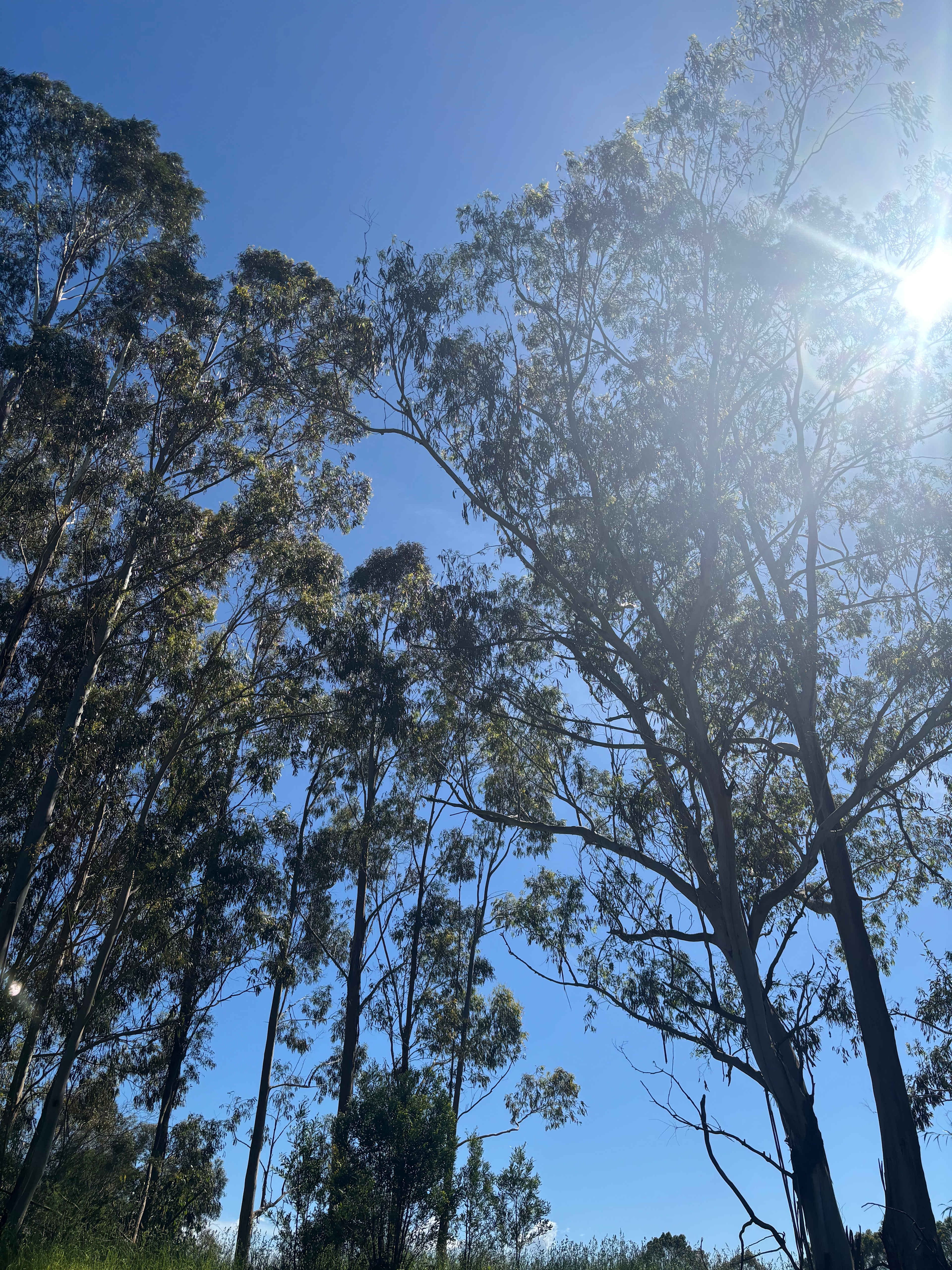 Casa Cucina / River House / Quirky