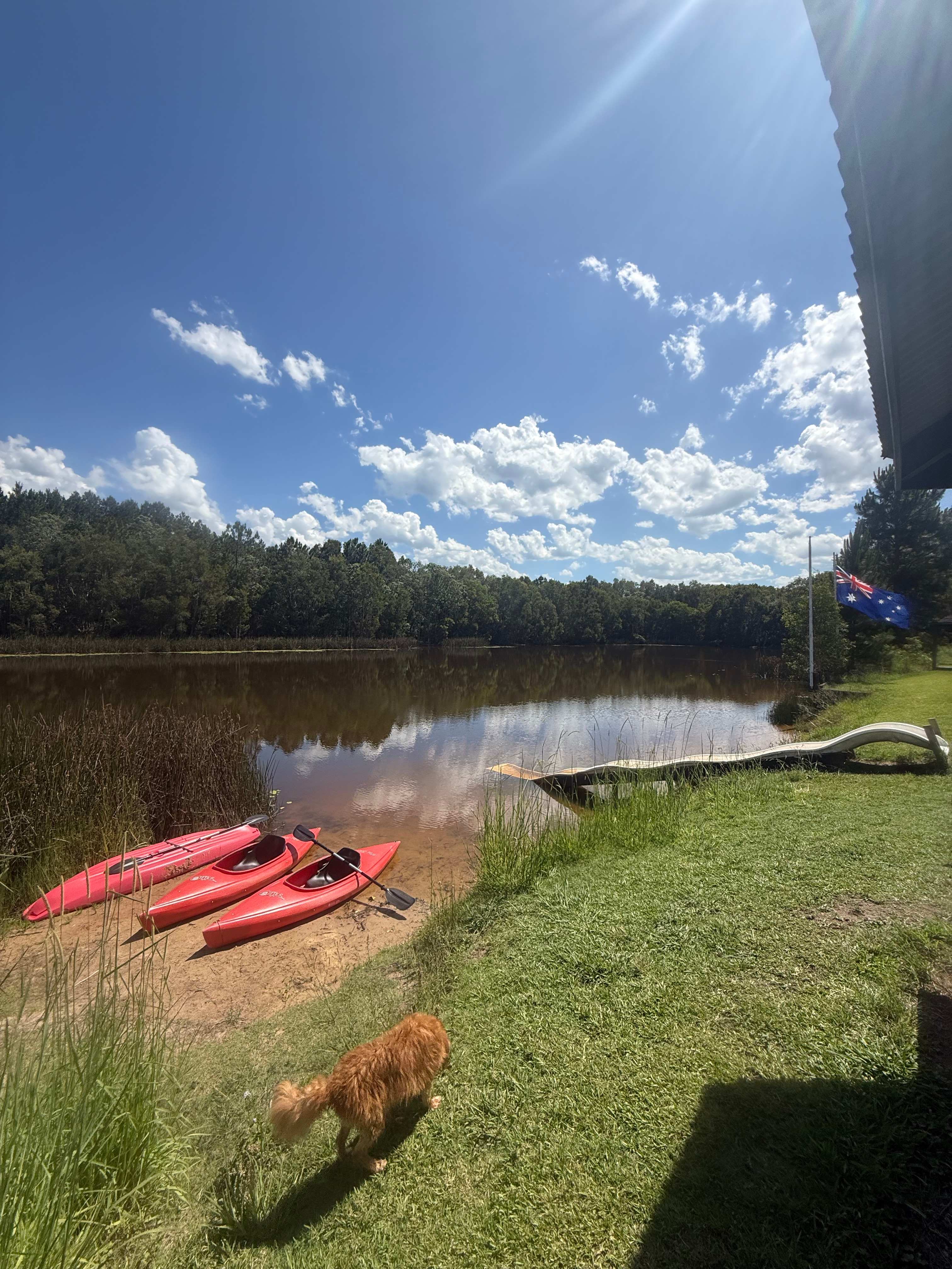 Bushywood at Woodfordskilake