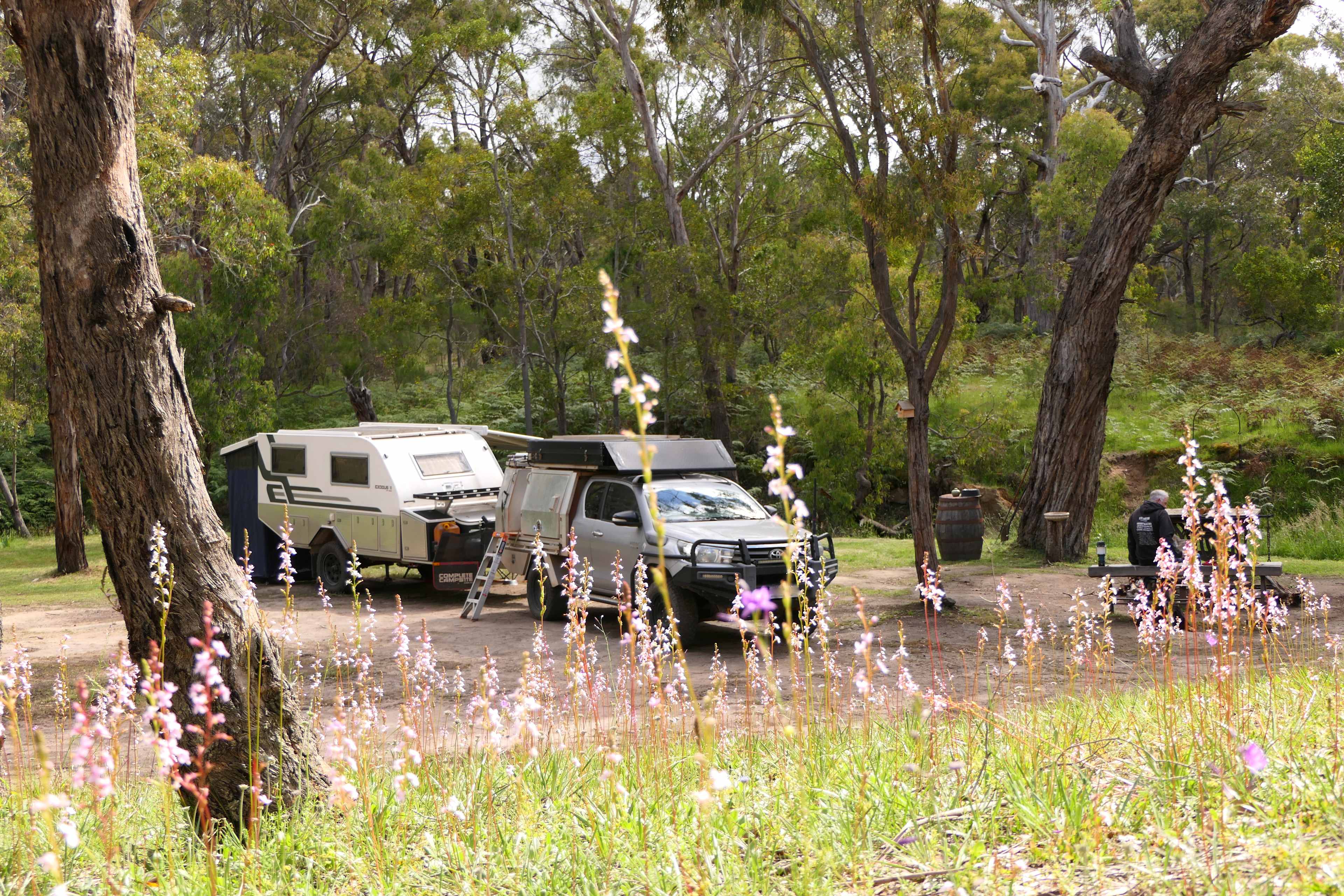 Penzance Bushland Retreat