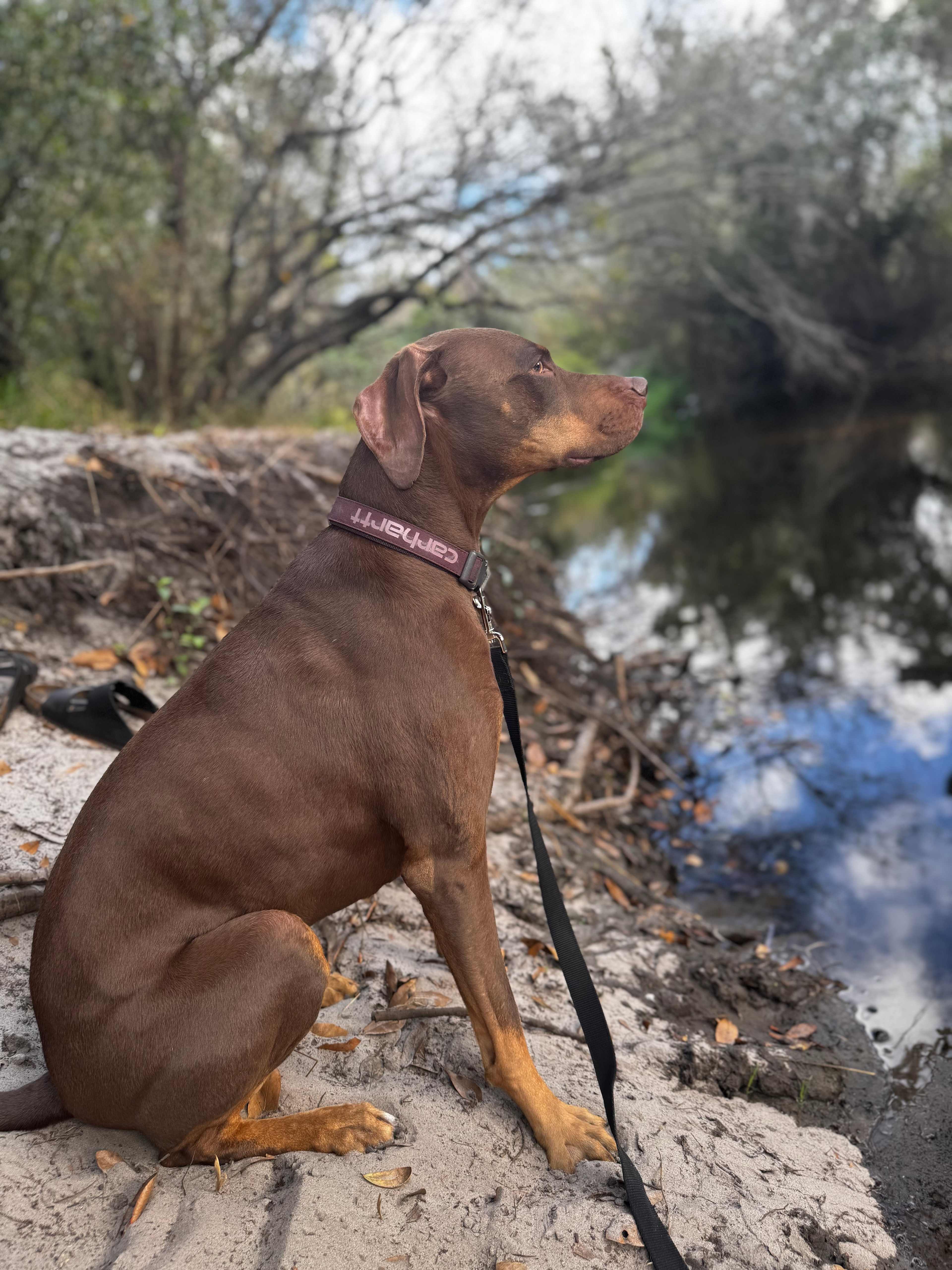 Sandy Bottom River Retreat