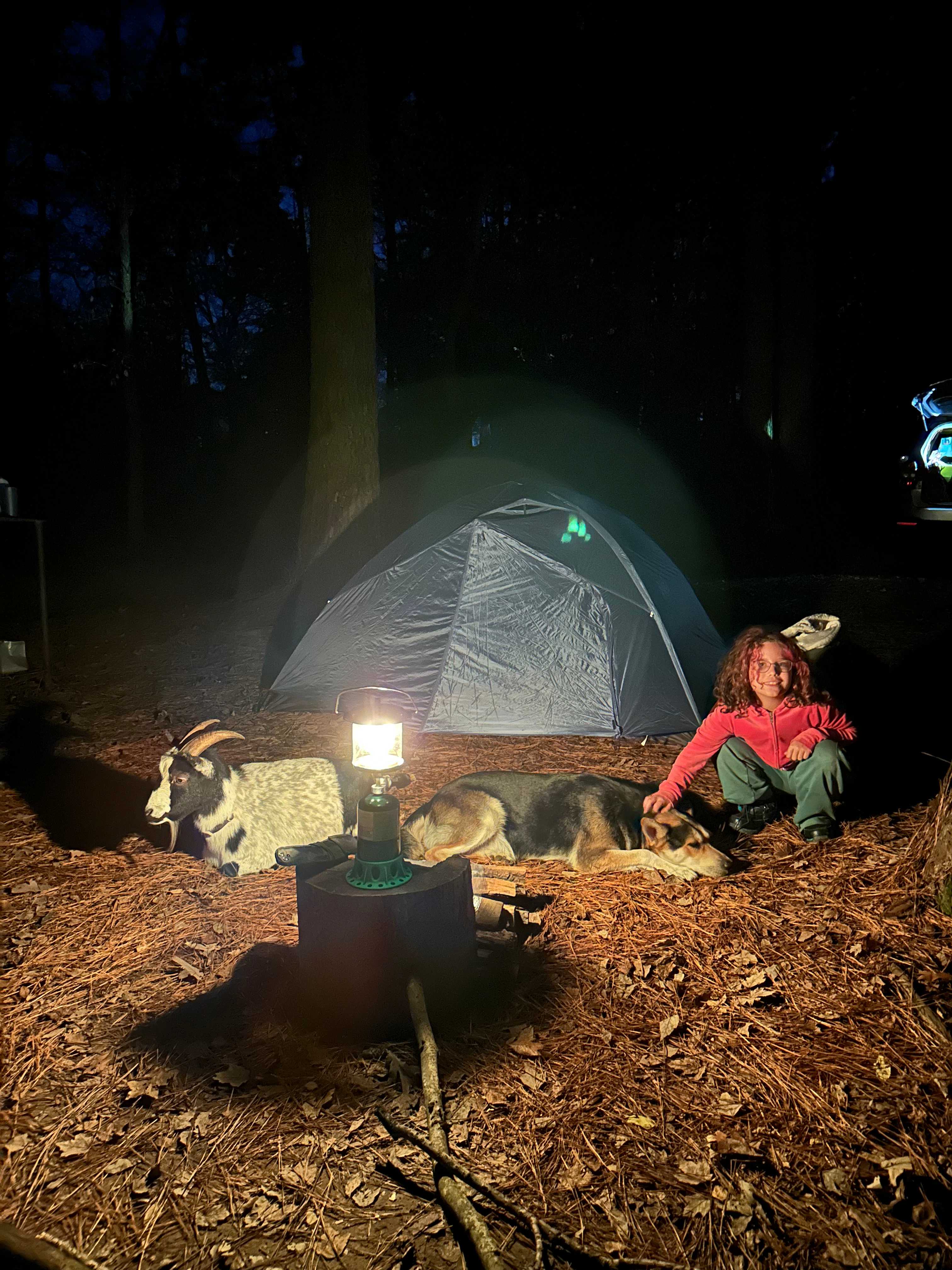 Loved spending the night with these two rascals. Linda was great and a wonderful host. 