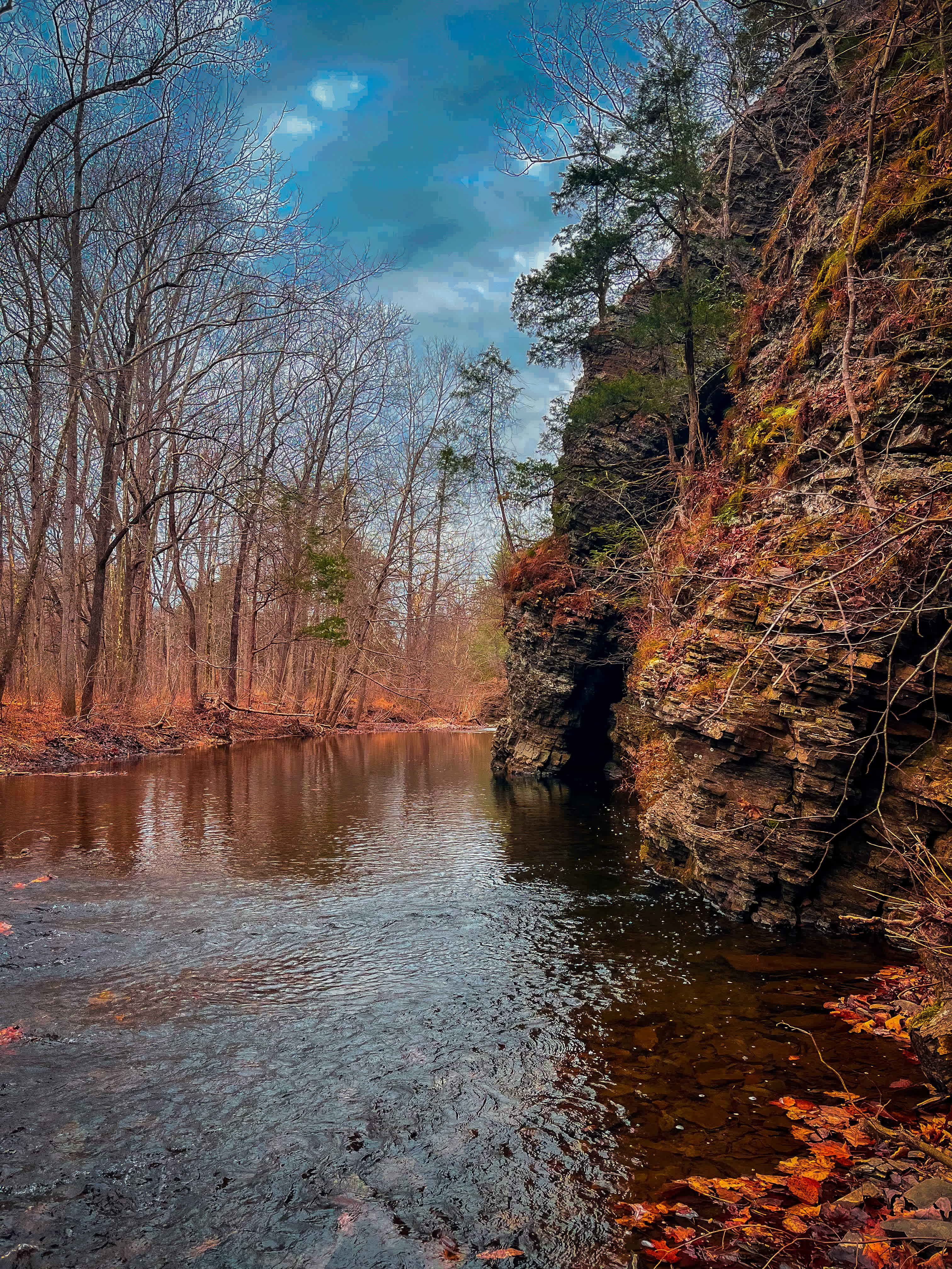 Savage Acres on Craig Creek