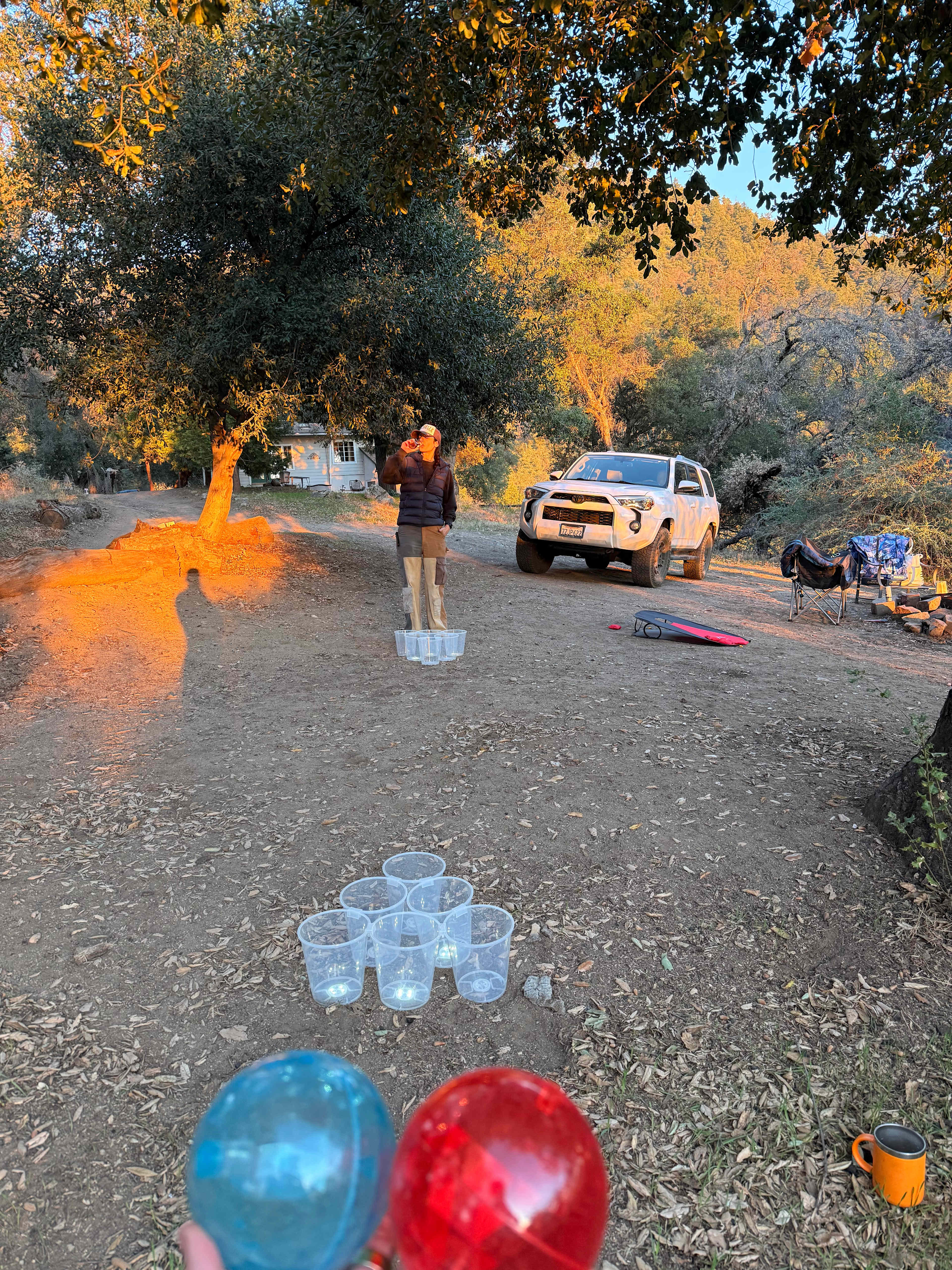 Magical Harrison Serenity Ranch