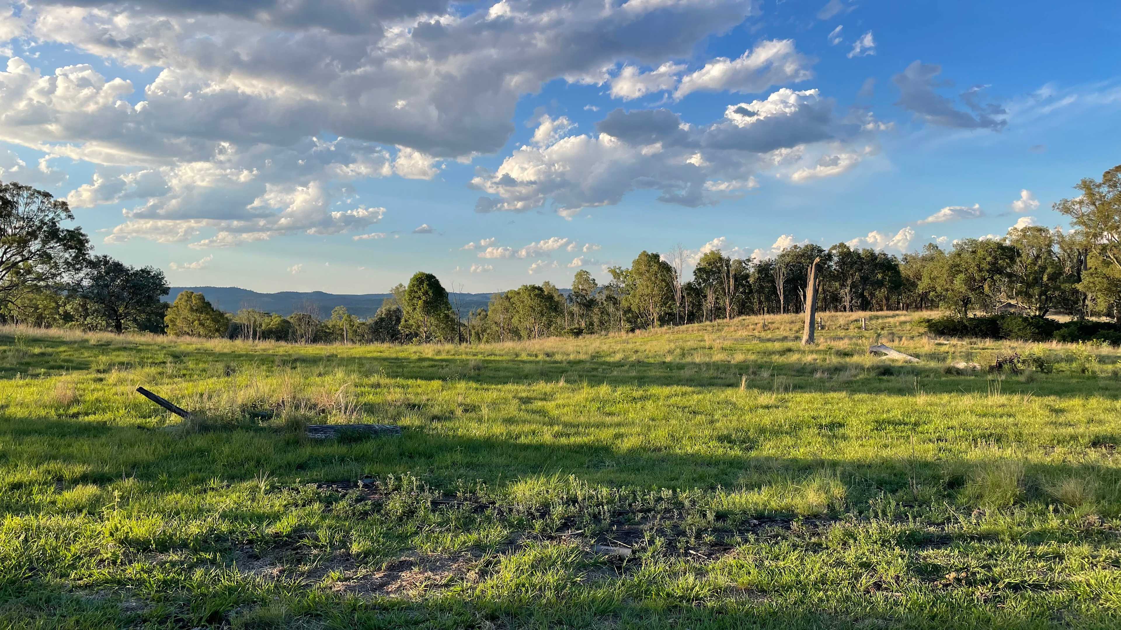 Looking North from the top