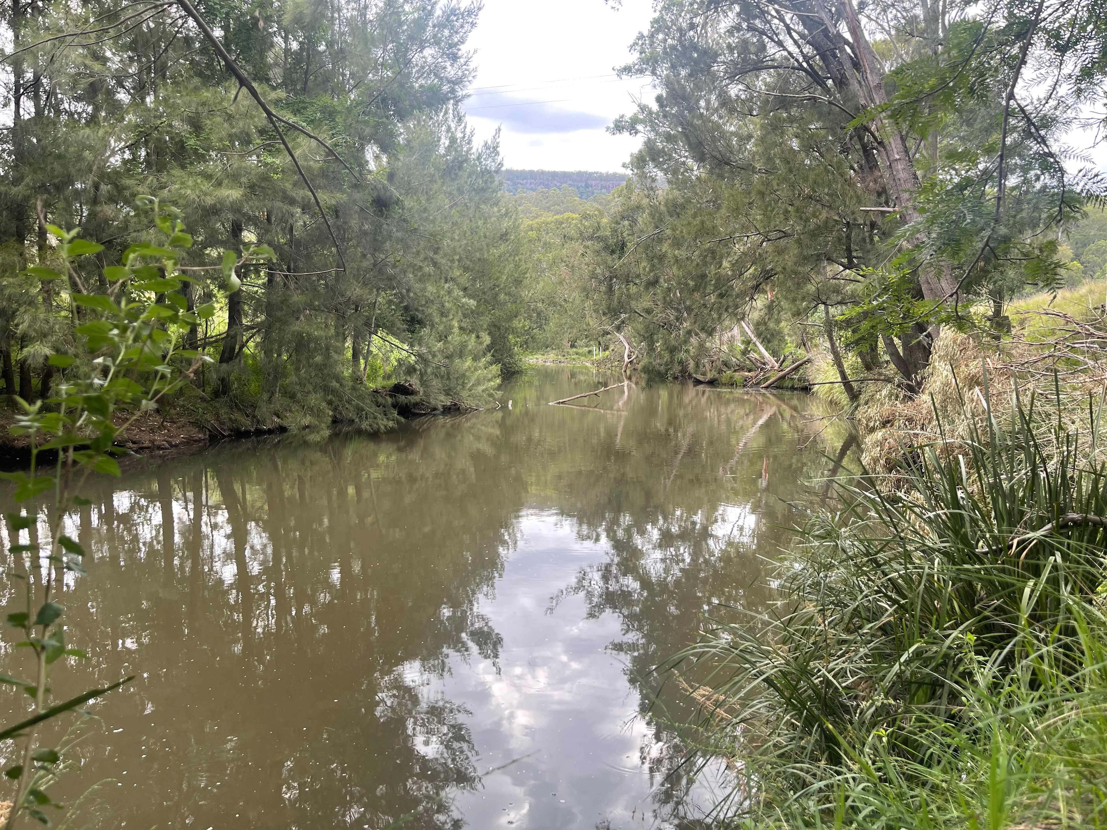 Wynola Country Cousins