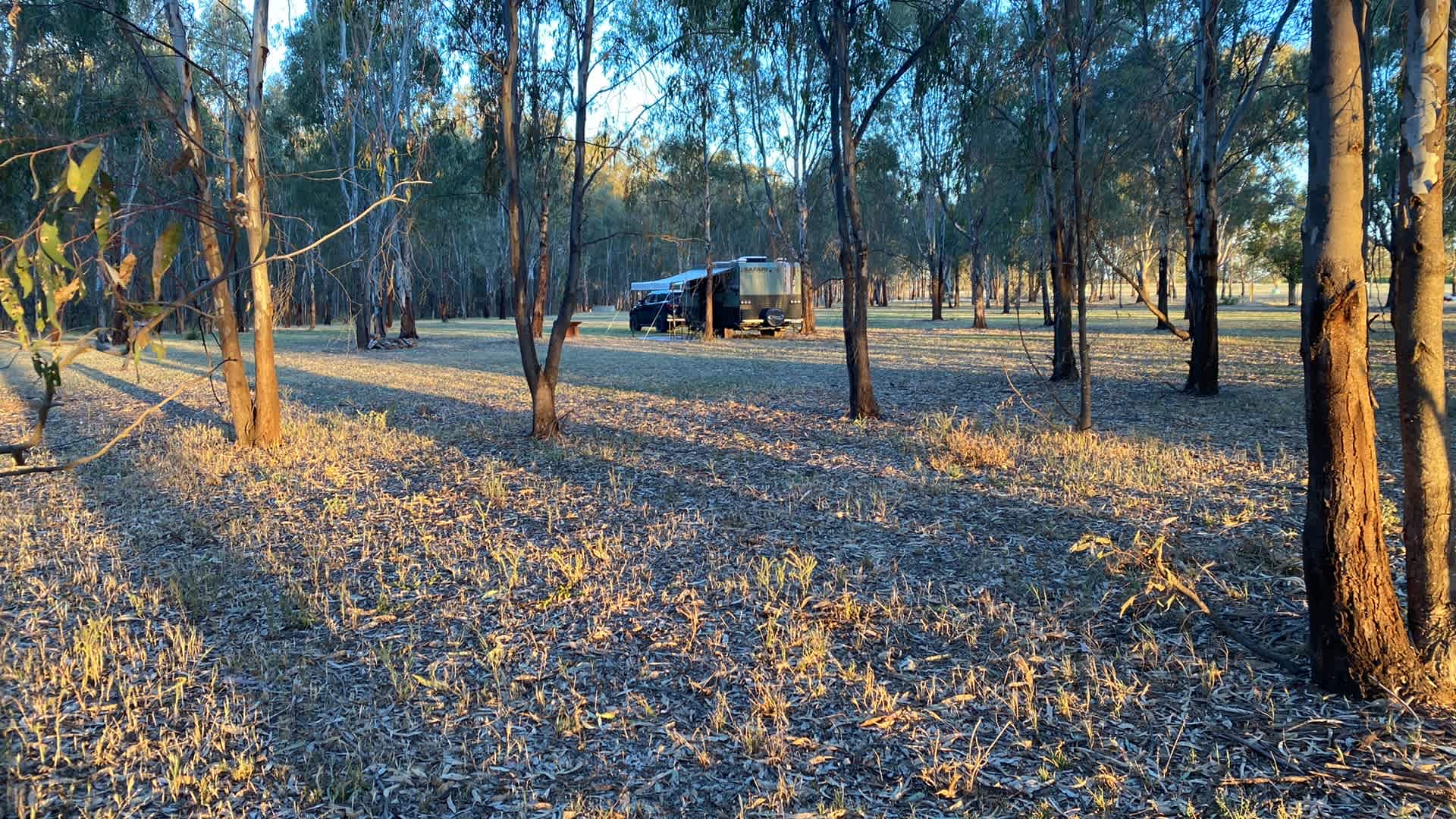 Plenty of space and shade