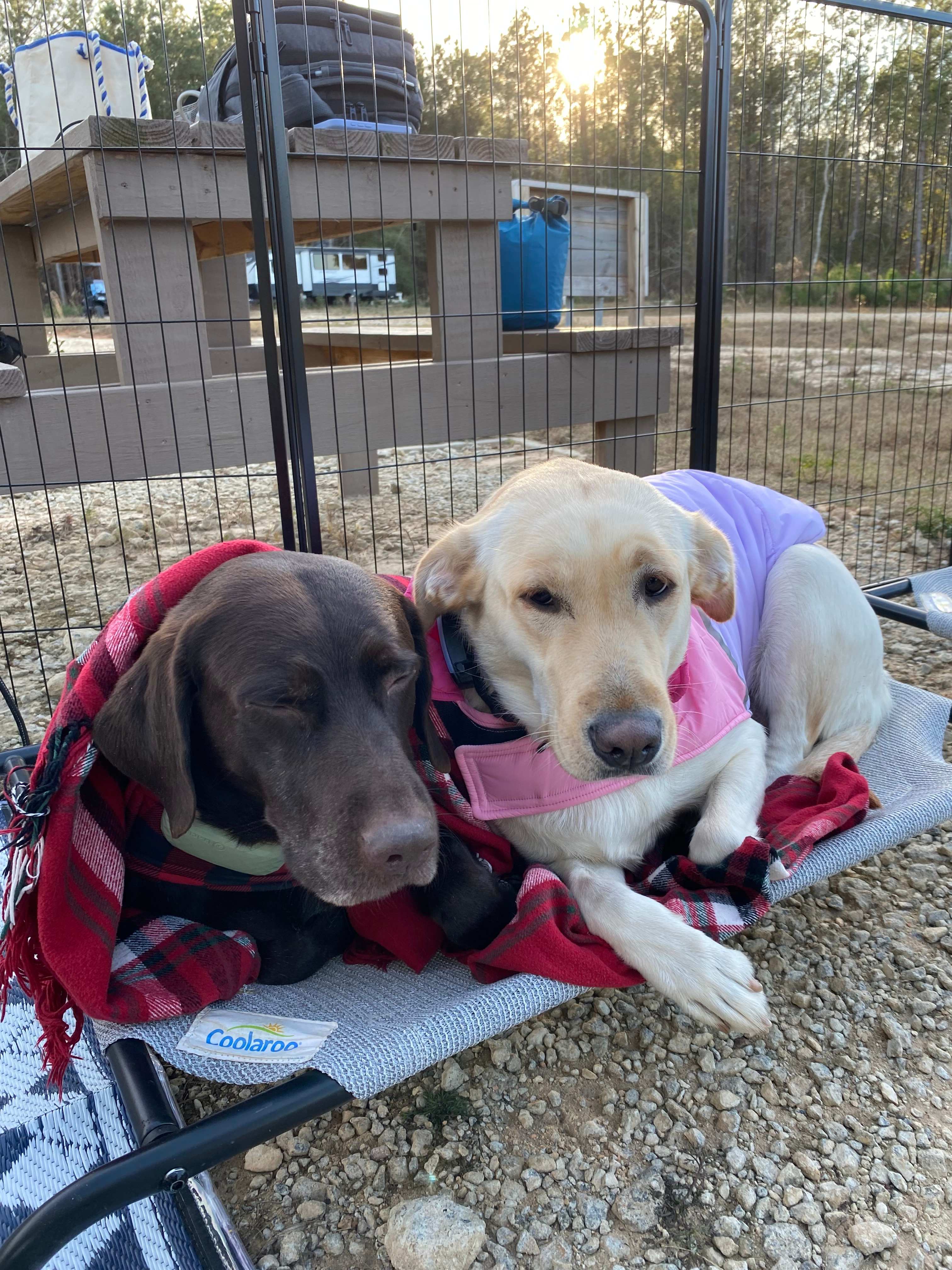 Piney Hills Campground