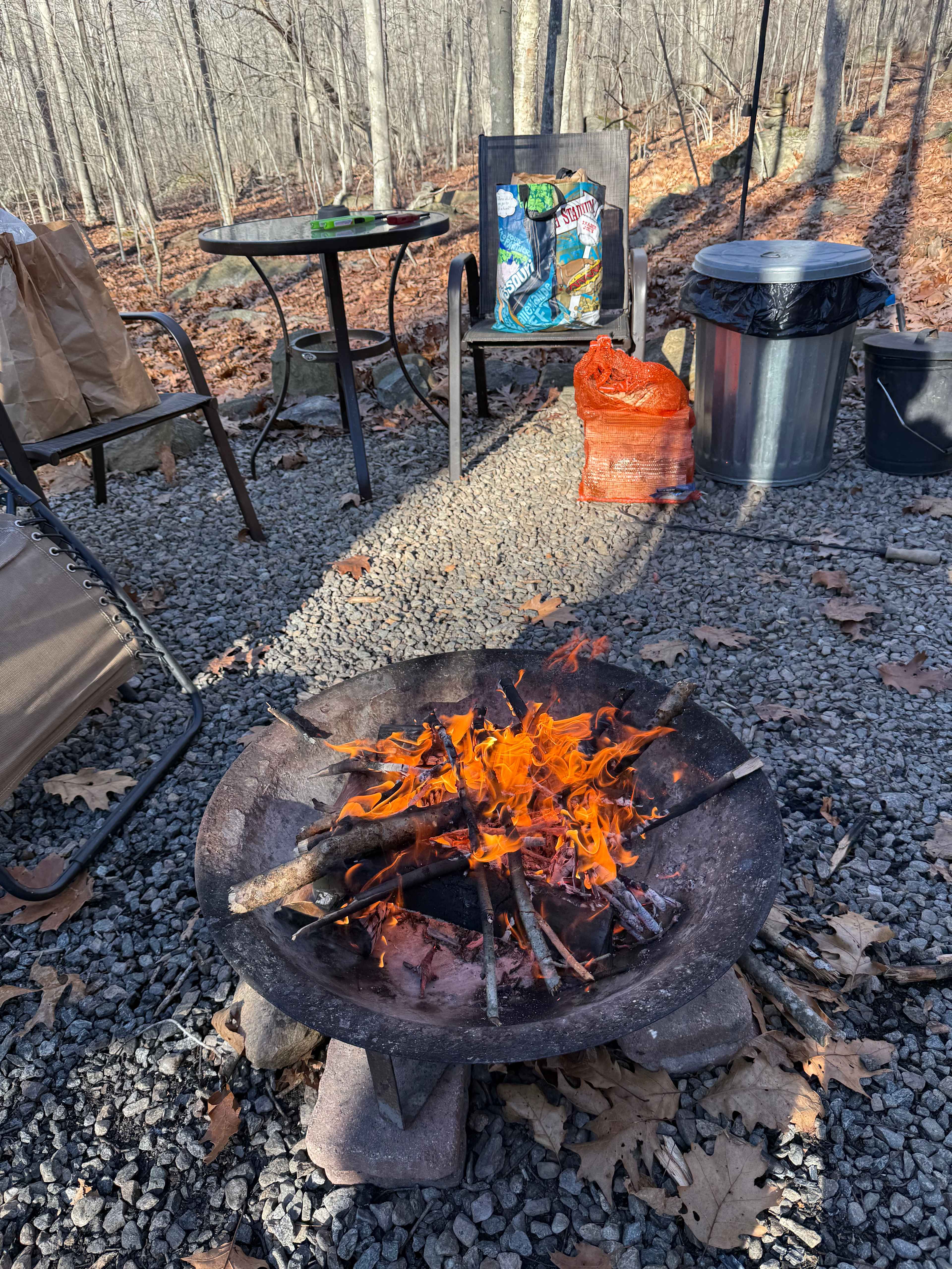 Water Forest Retreat