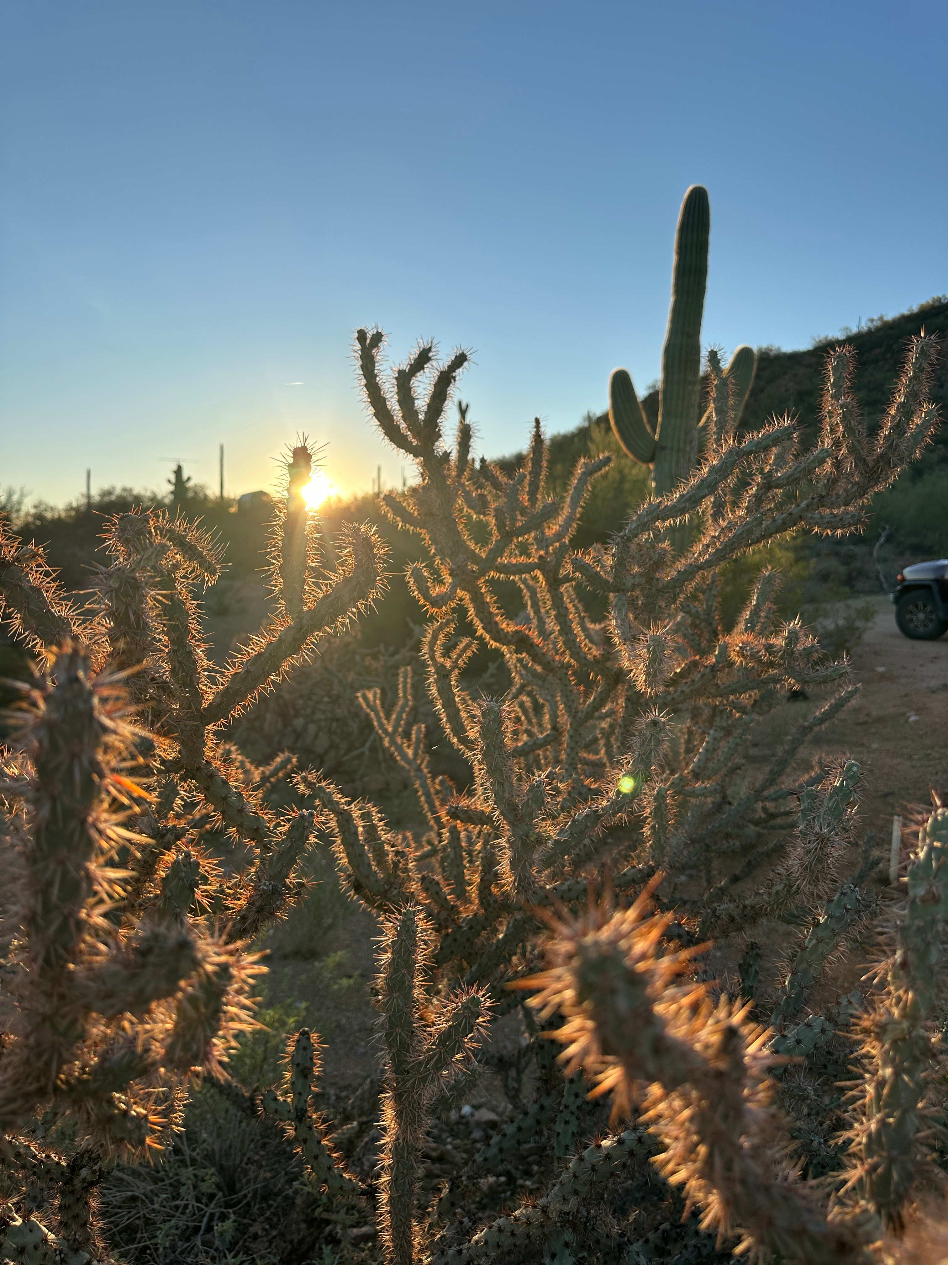 Red Hill at Ironwood National Park