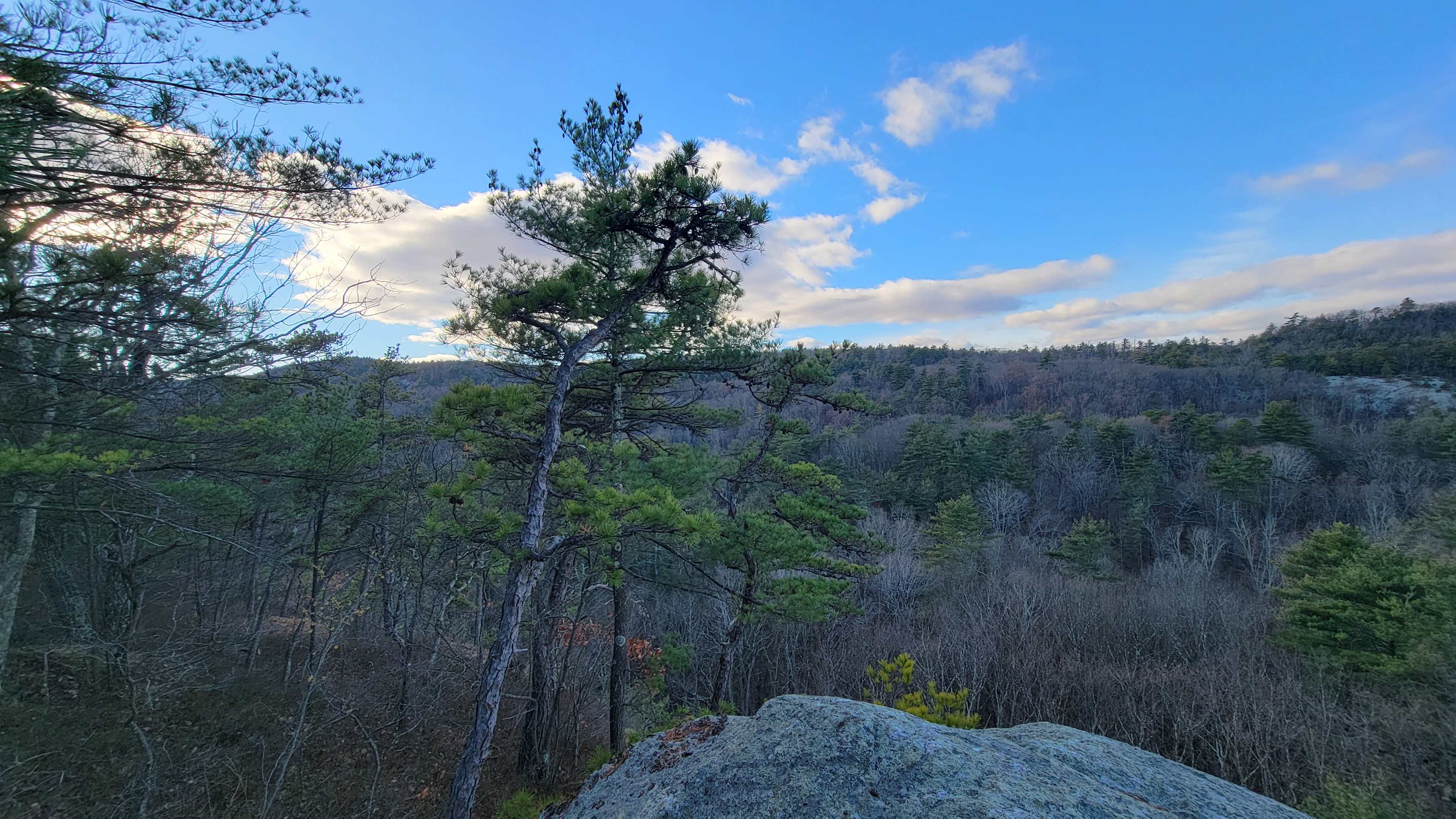 Red Fox Meadow Campsite