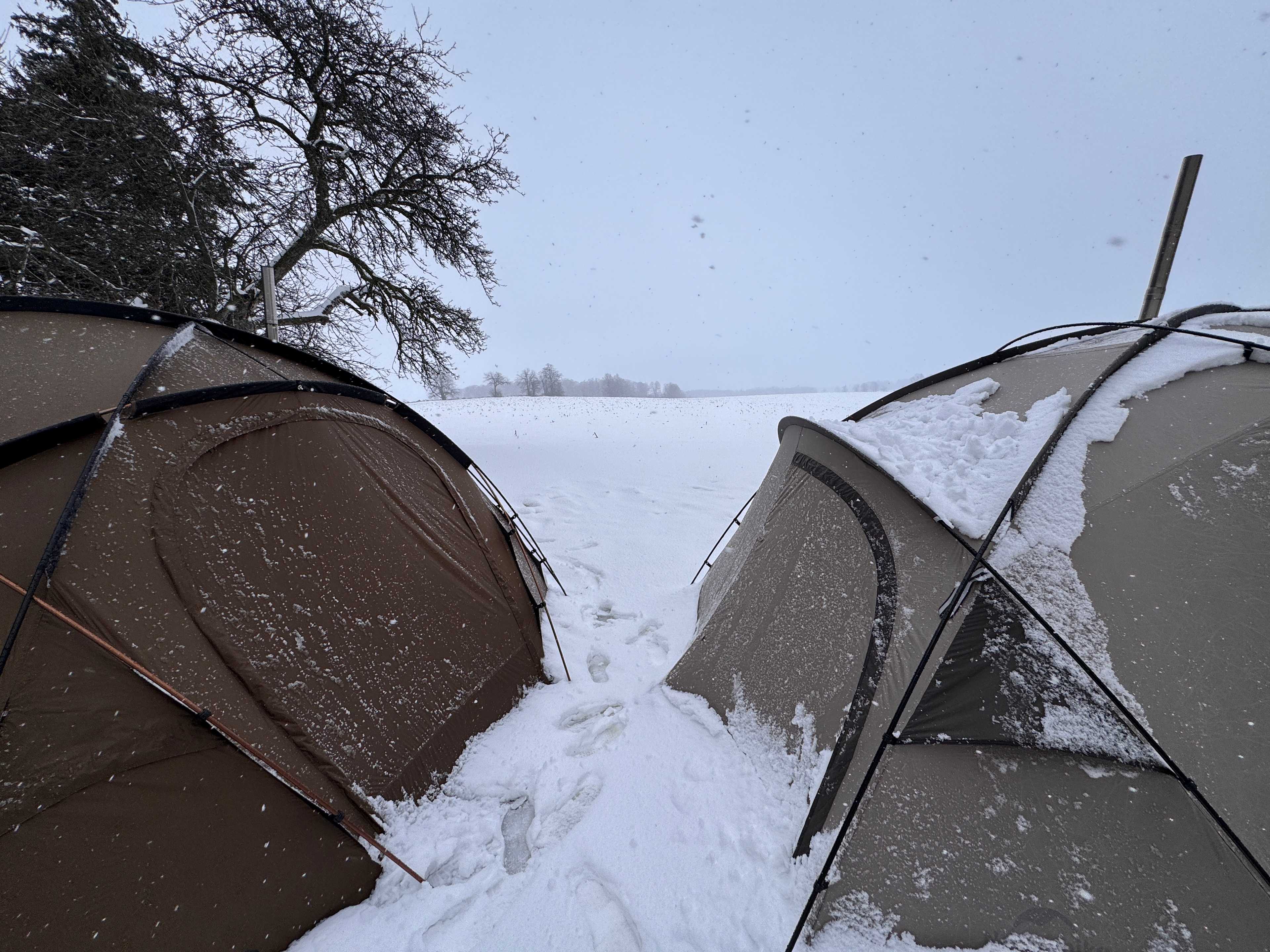 Secluded Starry Nights