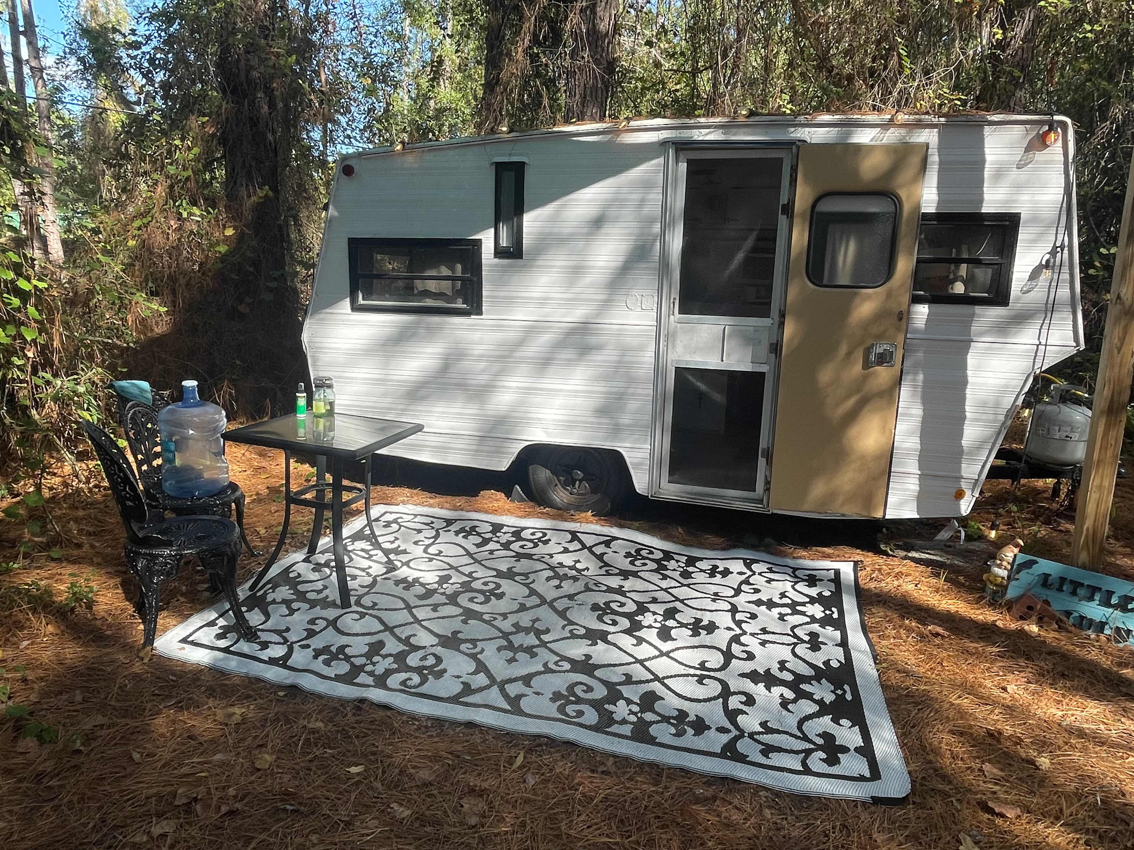 Serene Forested Blueberry Farm